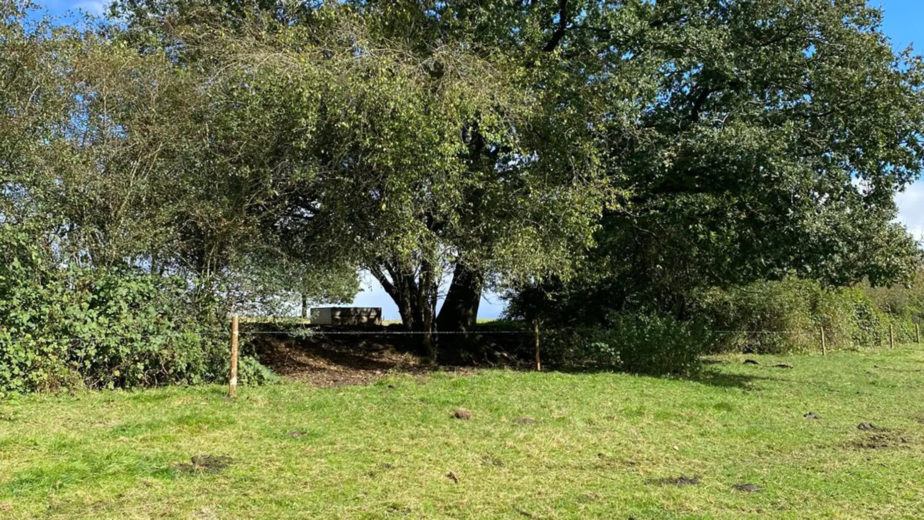 Aux nouées de Saint Hubert