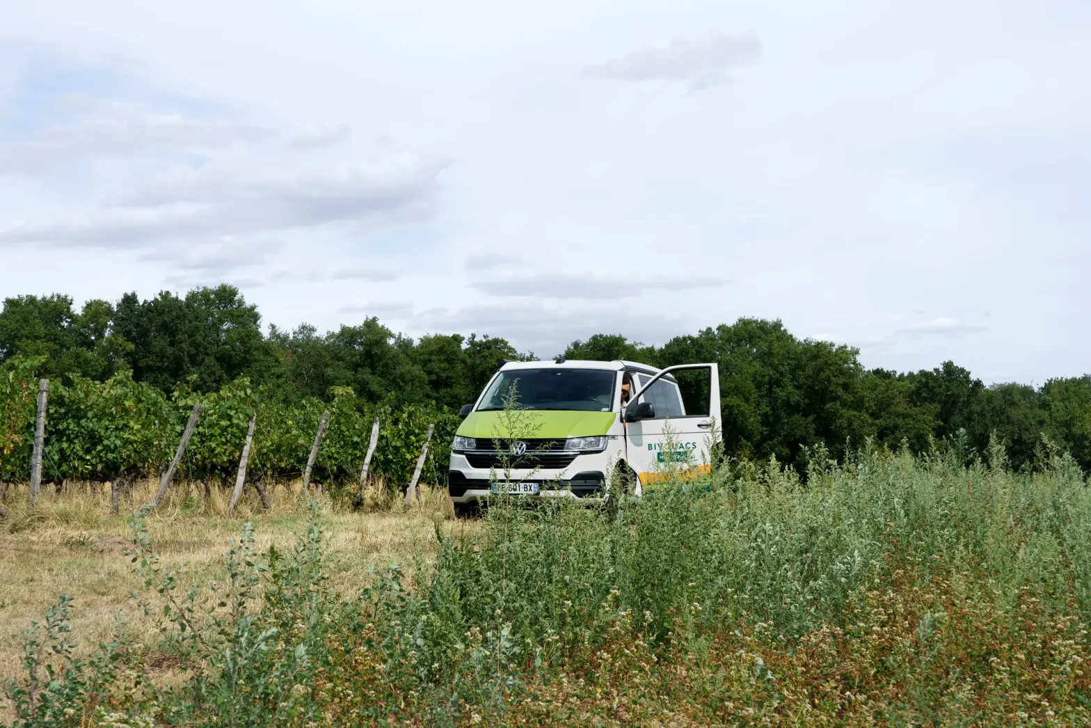 Domaine de bois Mozé 2