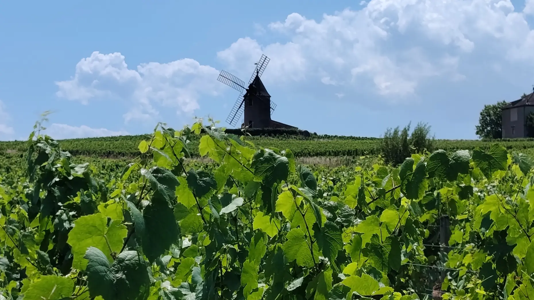 Le Moulin à Vent
