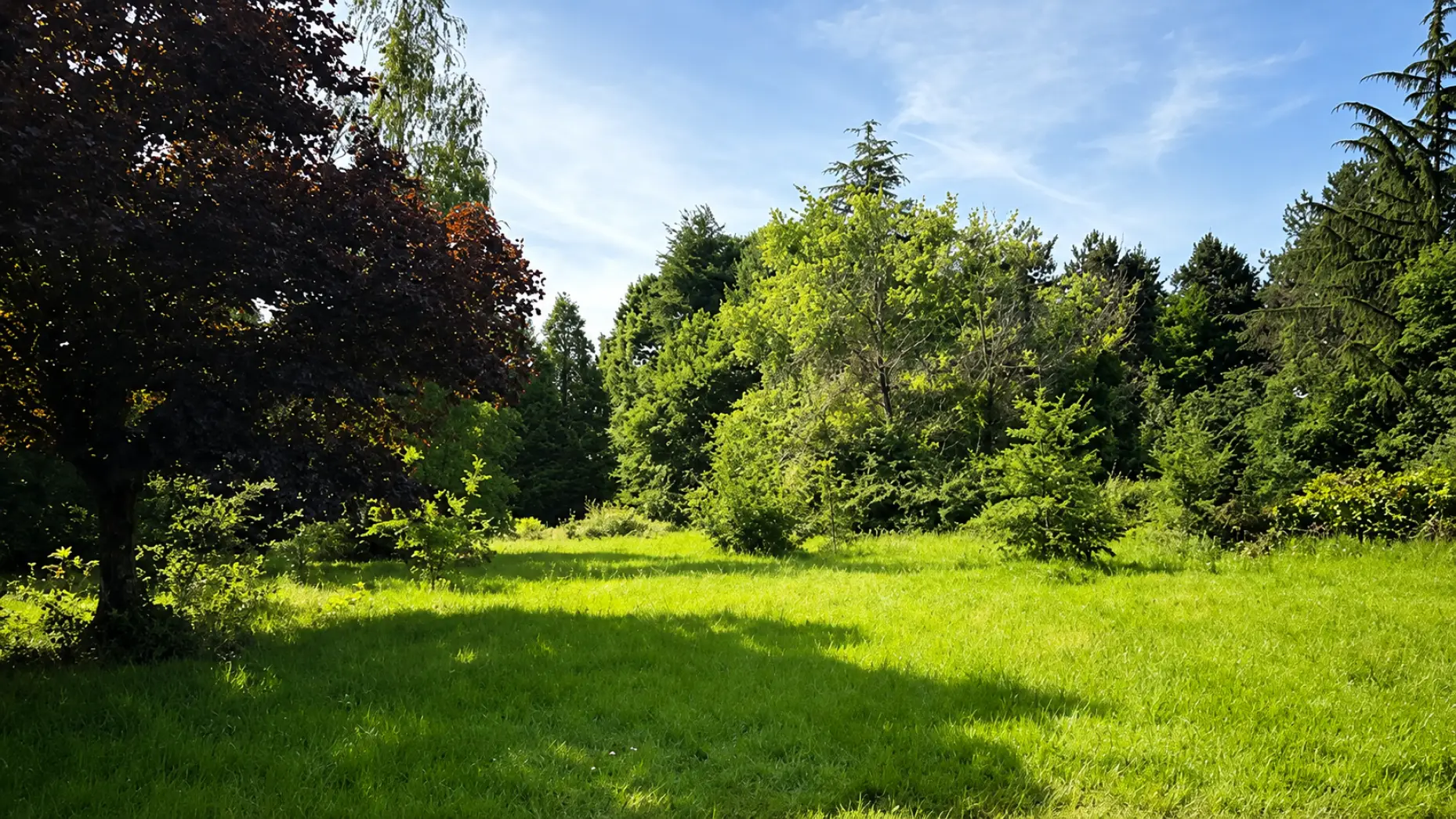 La Clairière Gasconne #7