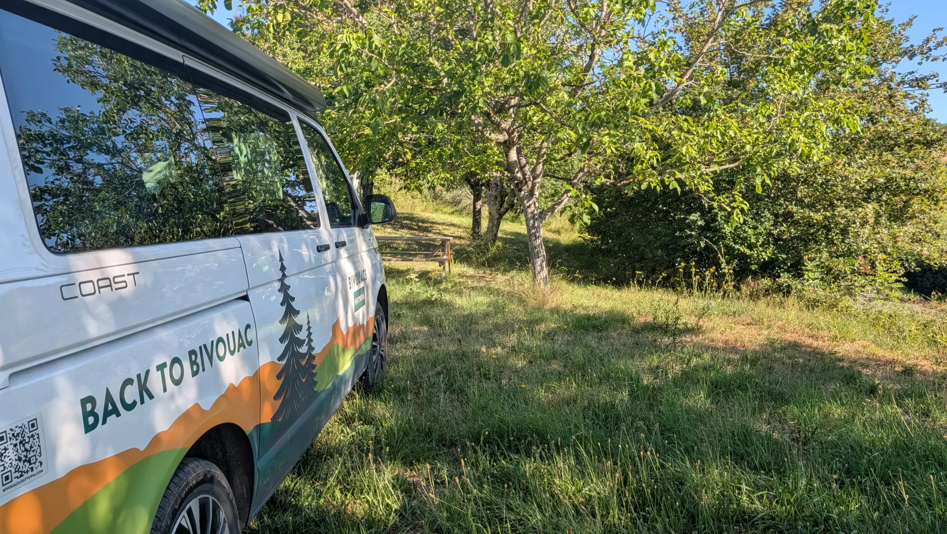 Un clou dans la vigne #5