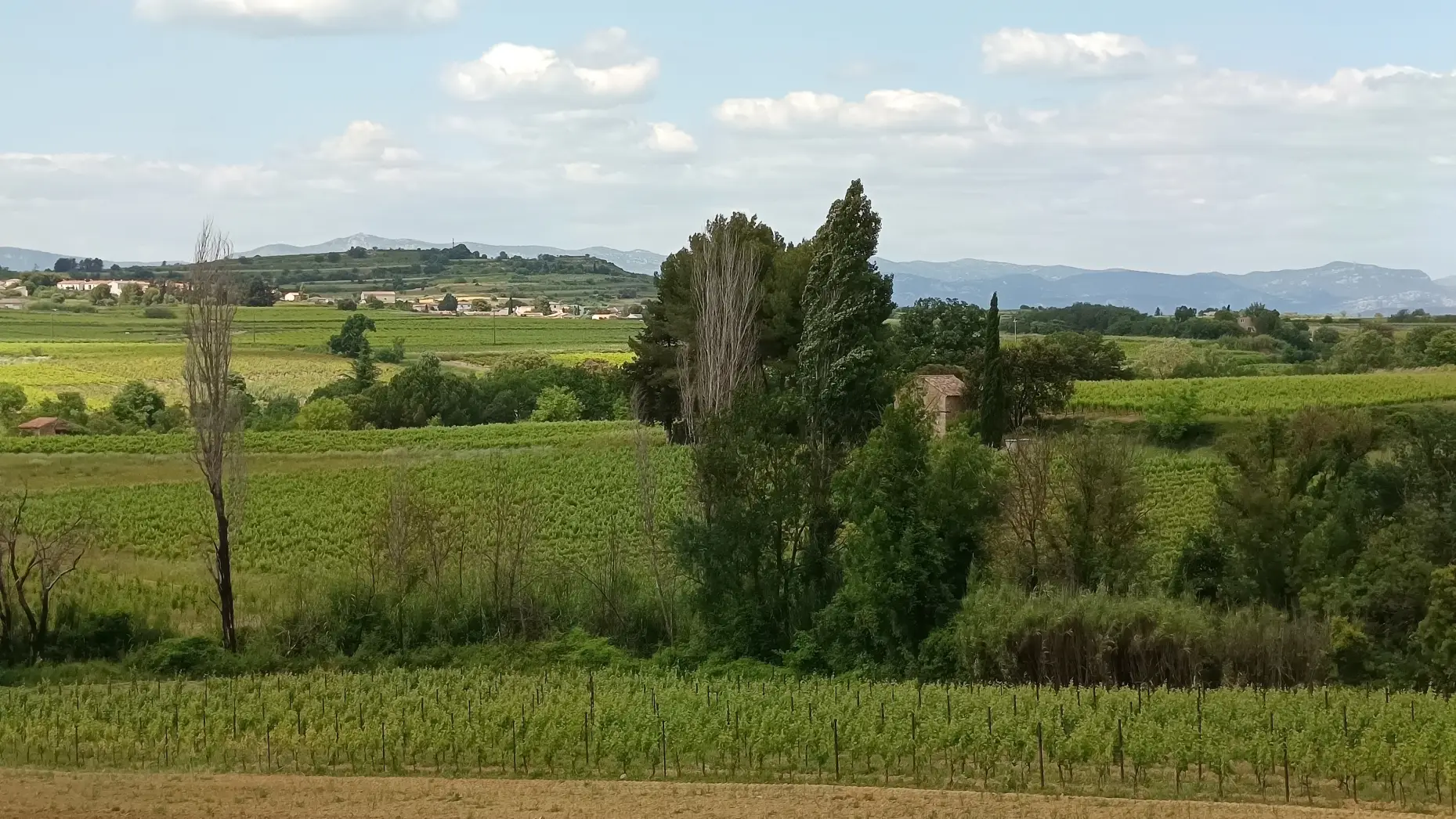 La vue de l'obstiné