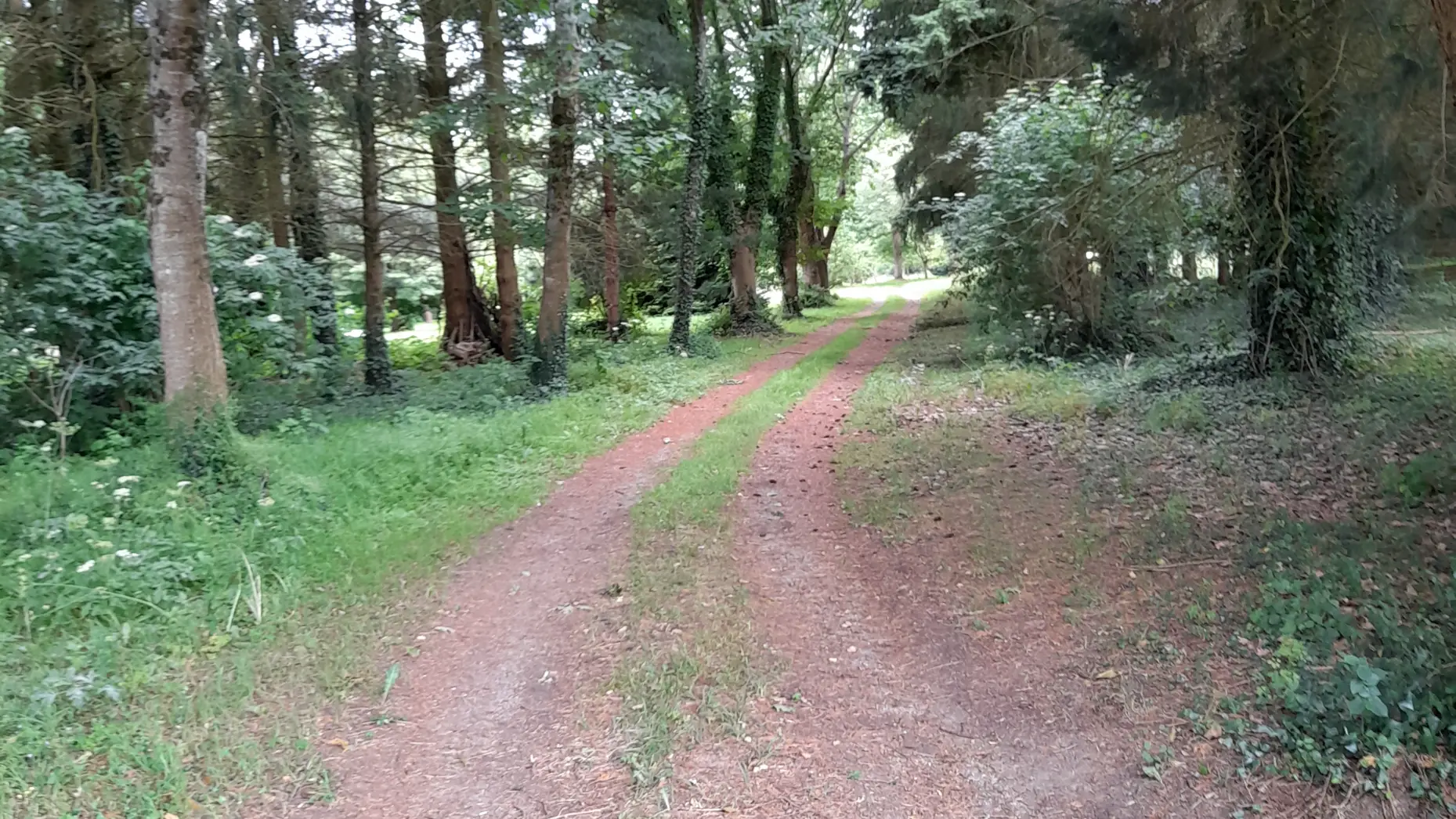 Barradoz Glaz (Au bord de l'étang) #5