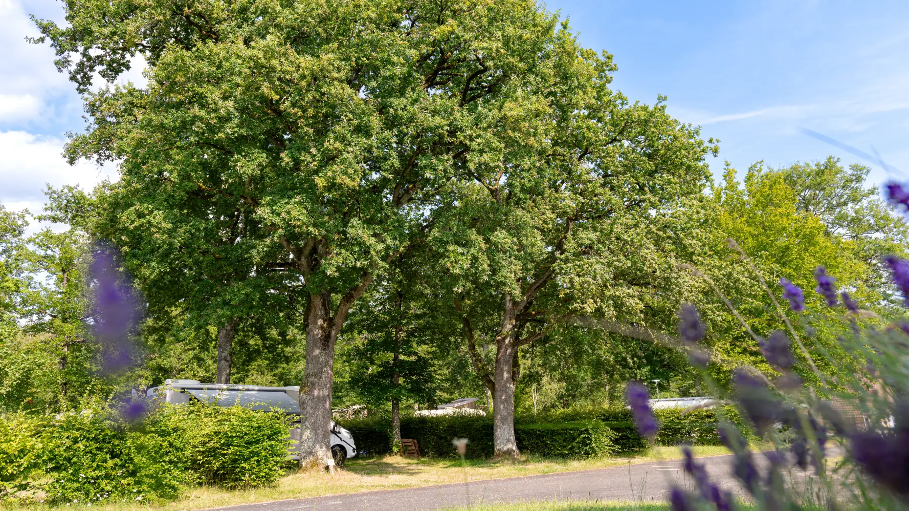 Camping La Varenne #13