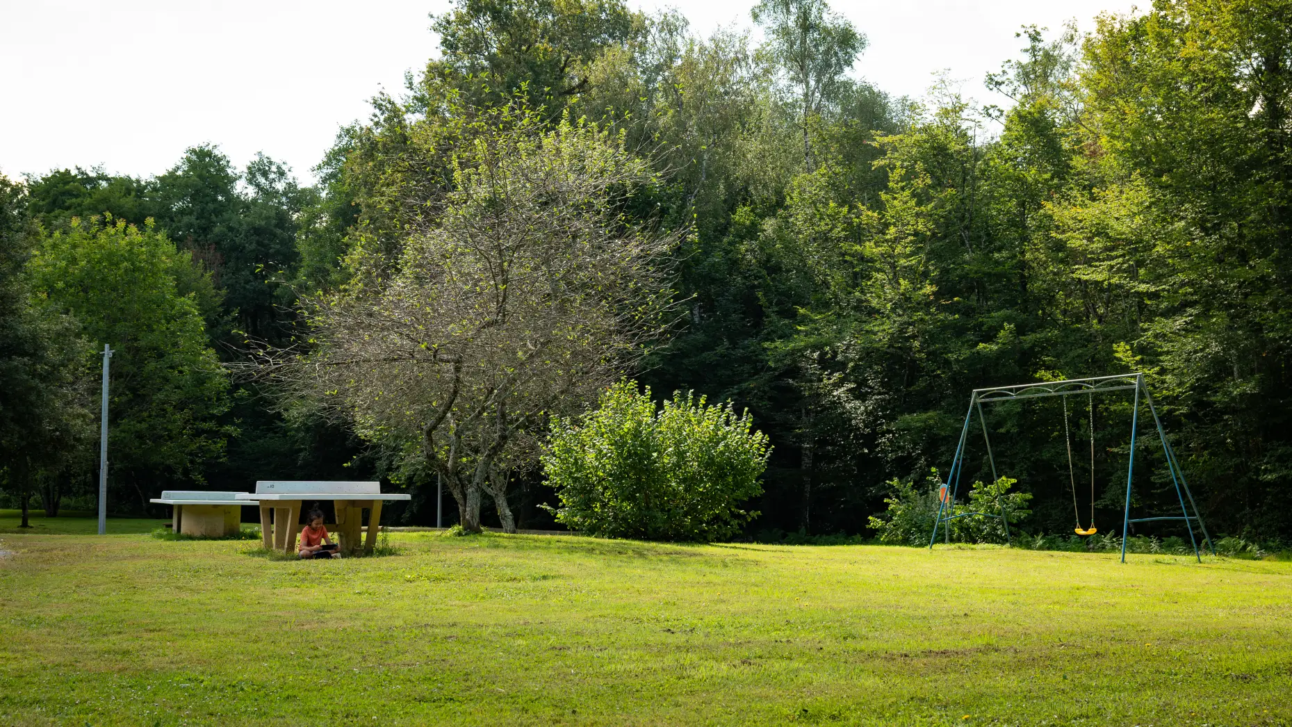 Camping du Petit Bois #12
