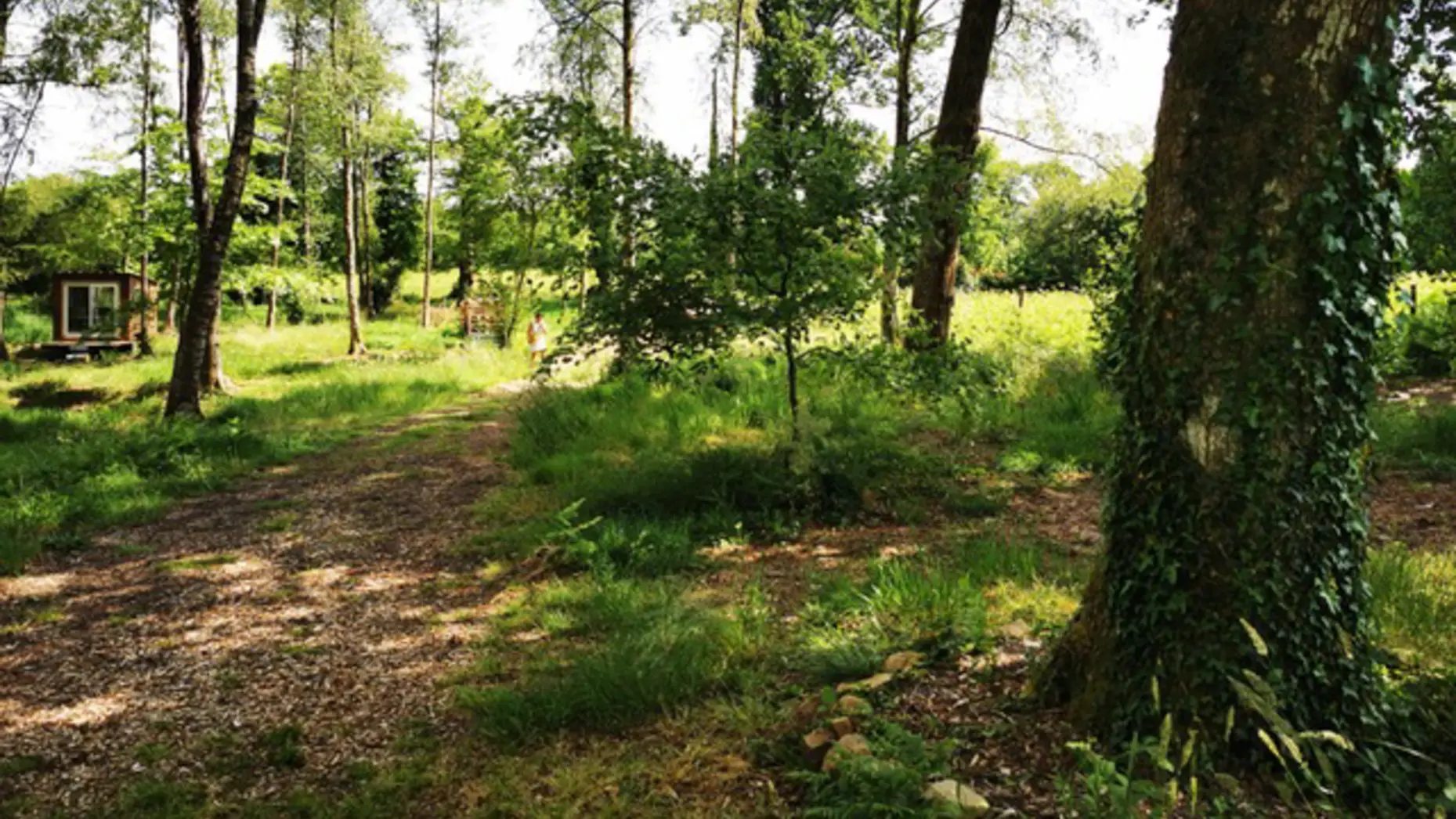 Forêt de Paimpont #5