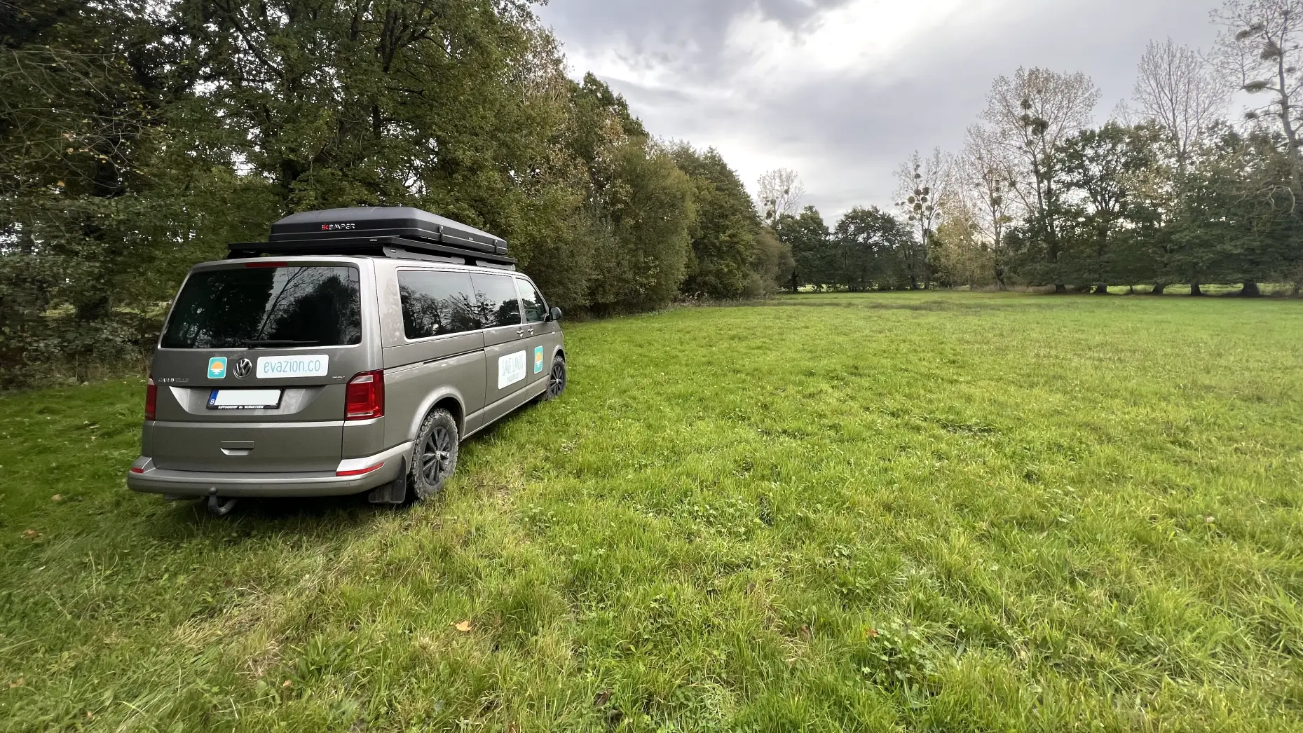 ClairiĂšre de la ForĂȘt EnchantĂ©e #4