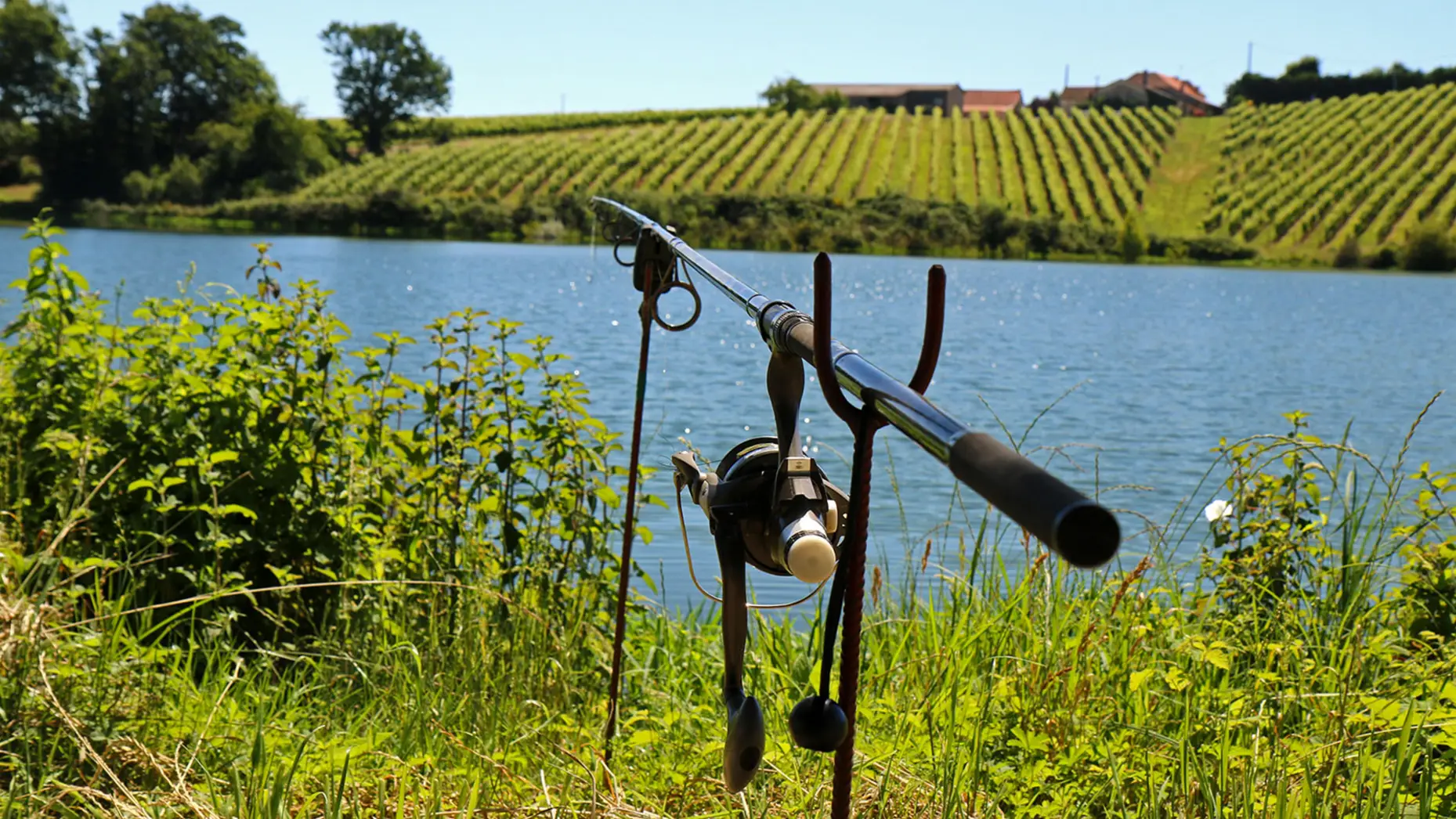 Au coeur rural des Pyrénées Atlantique #4