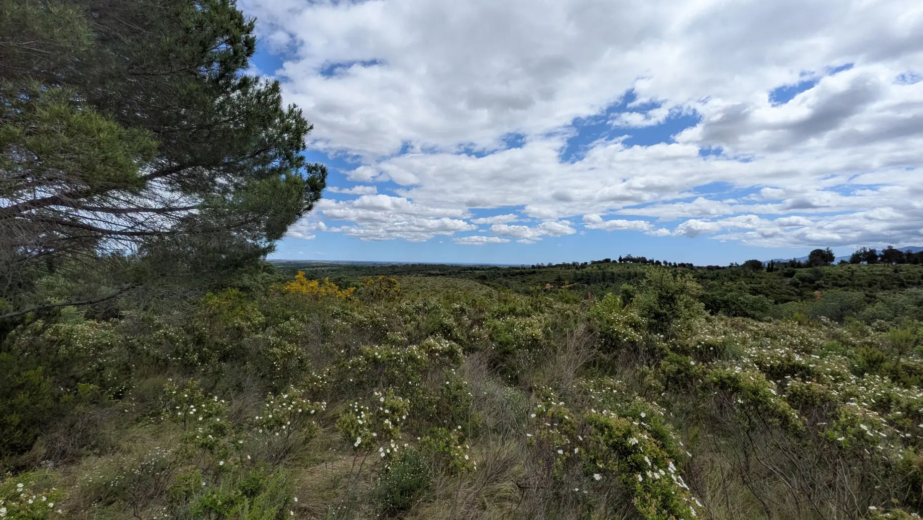 Le Belvédère Catalan #5