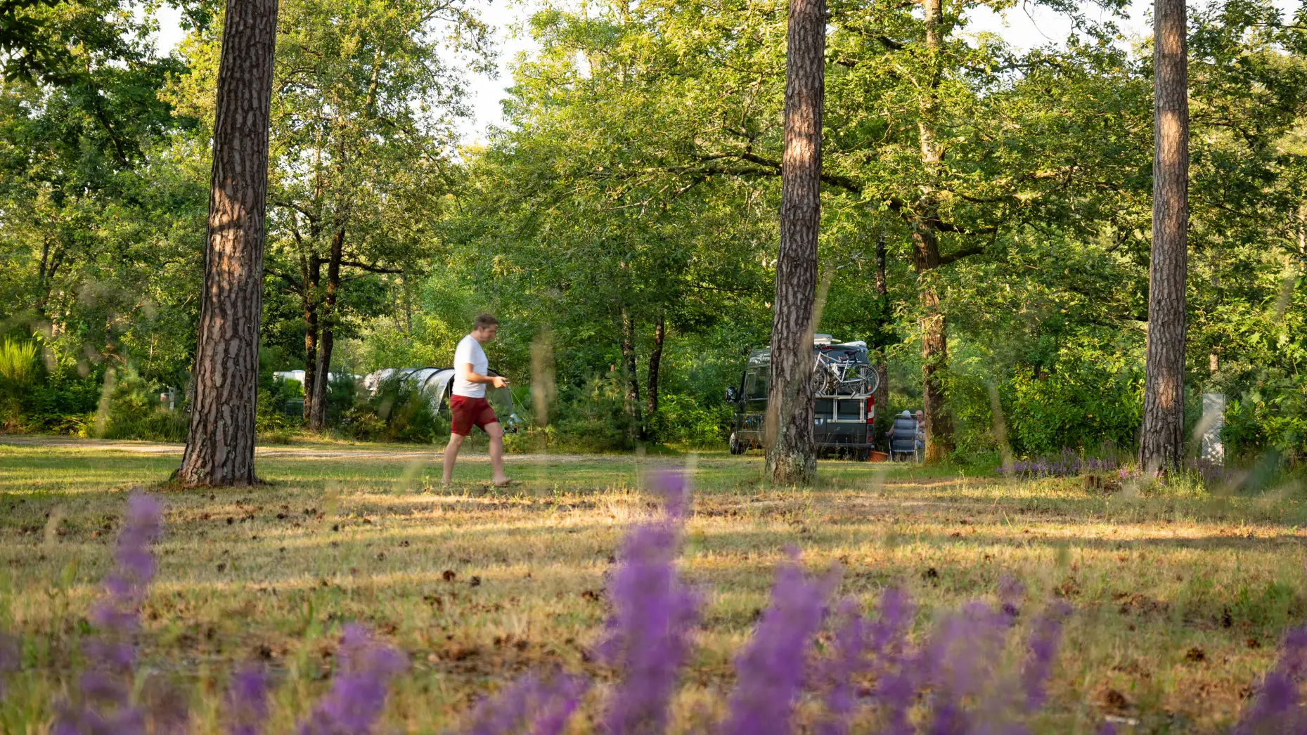 Camping Les Pins #8