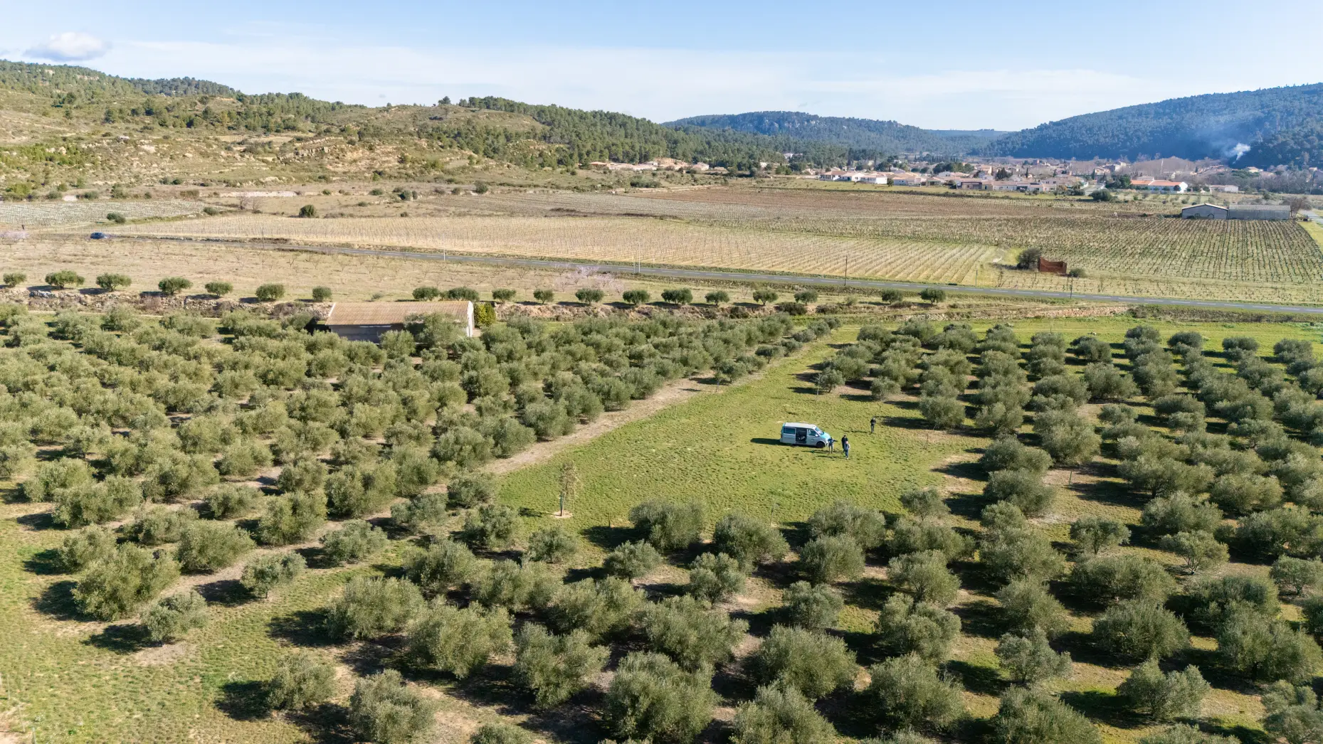 La pause des oliviers 1 #14