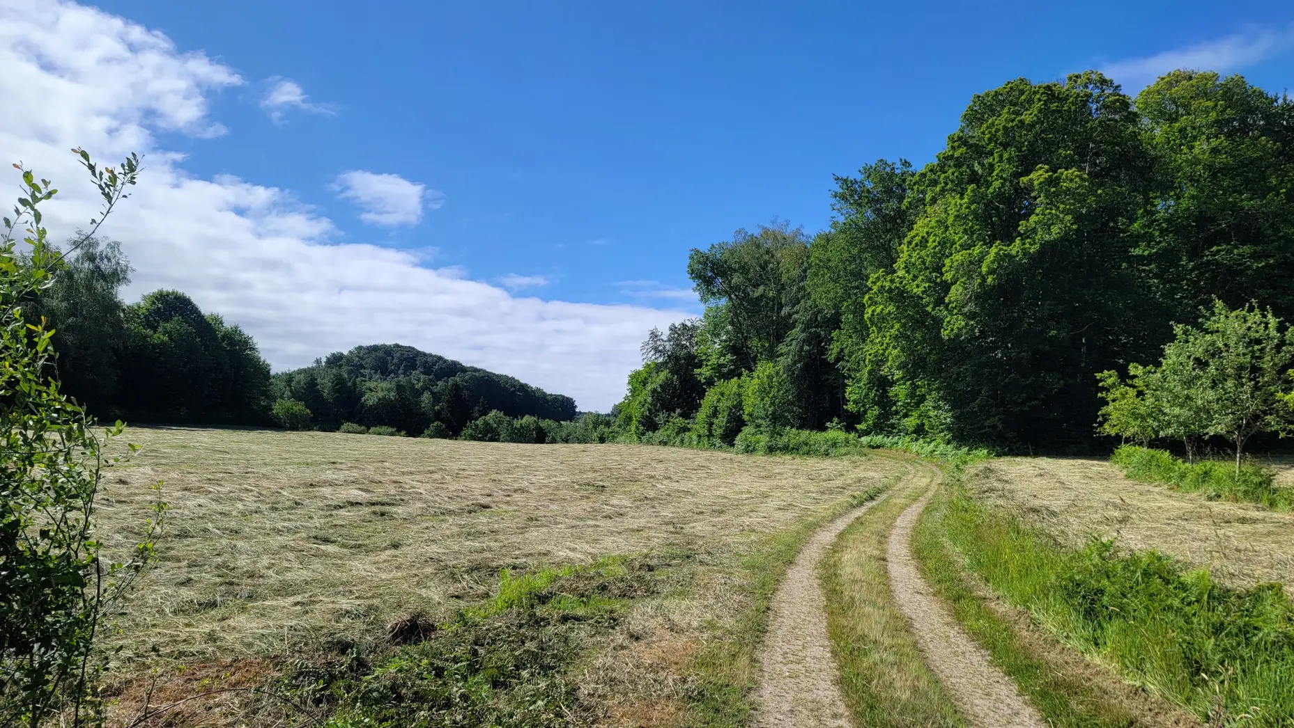 Le Verger de la Creuse #5