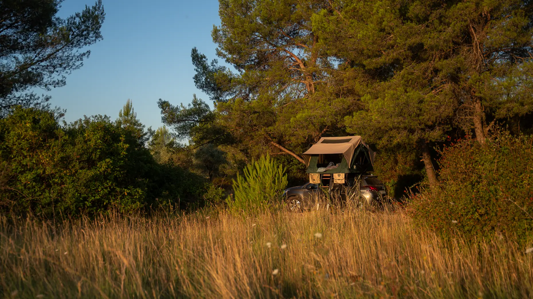 Montaud