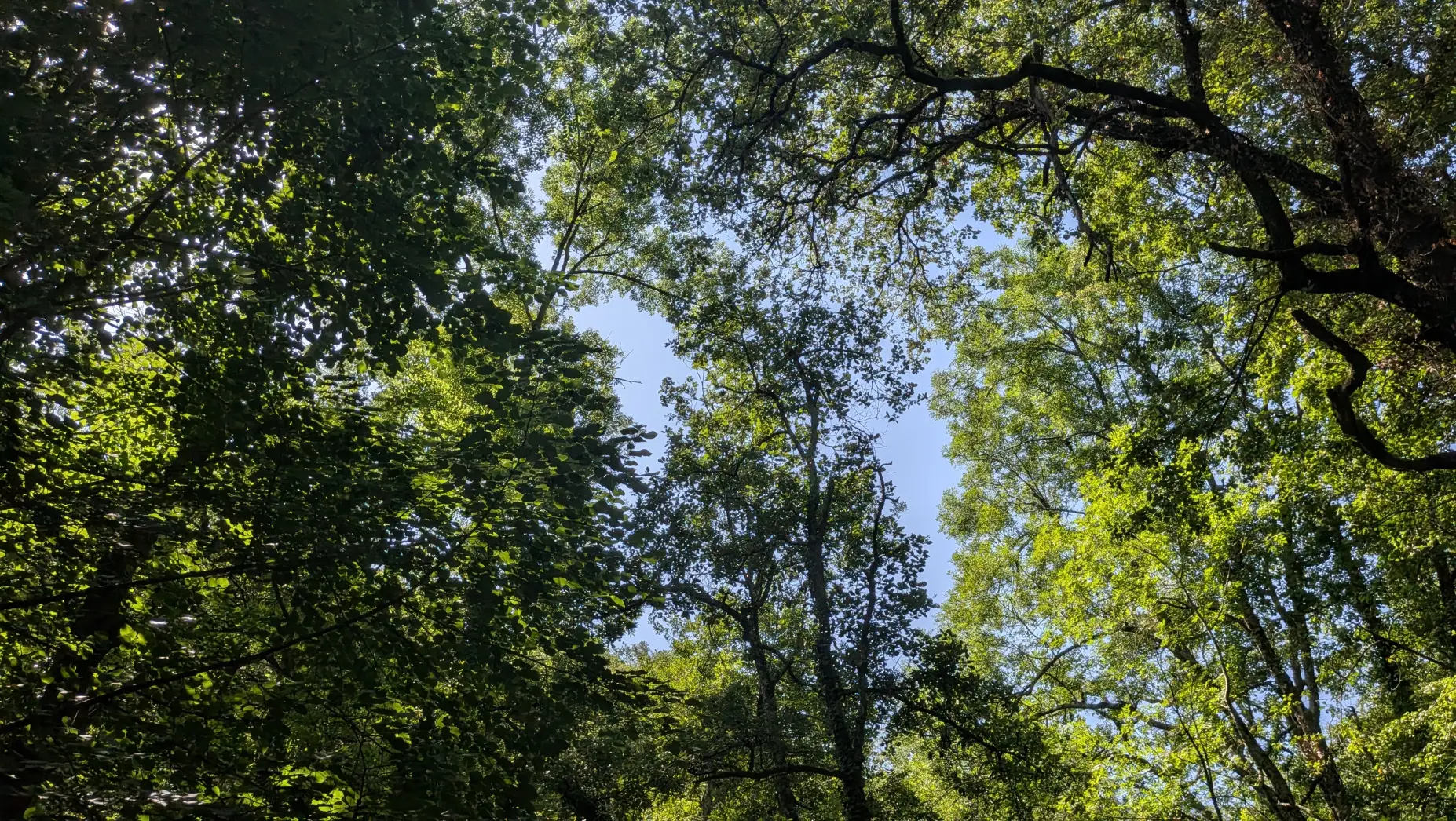 Le Val Boisé