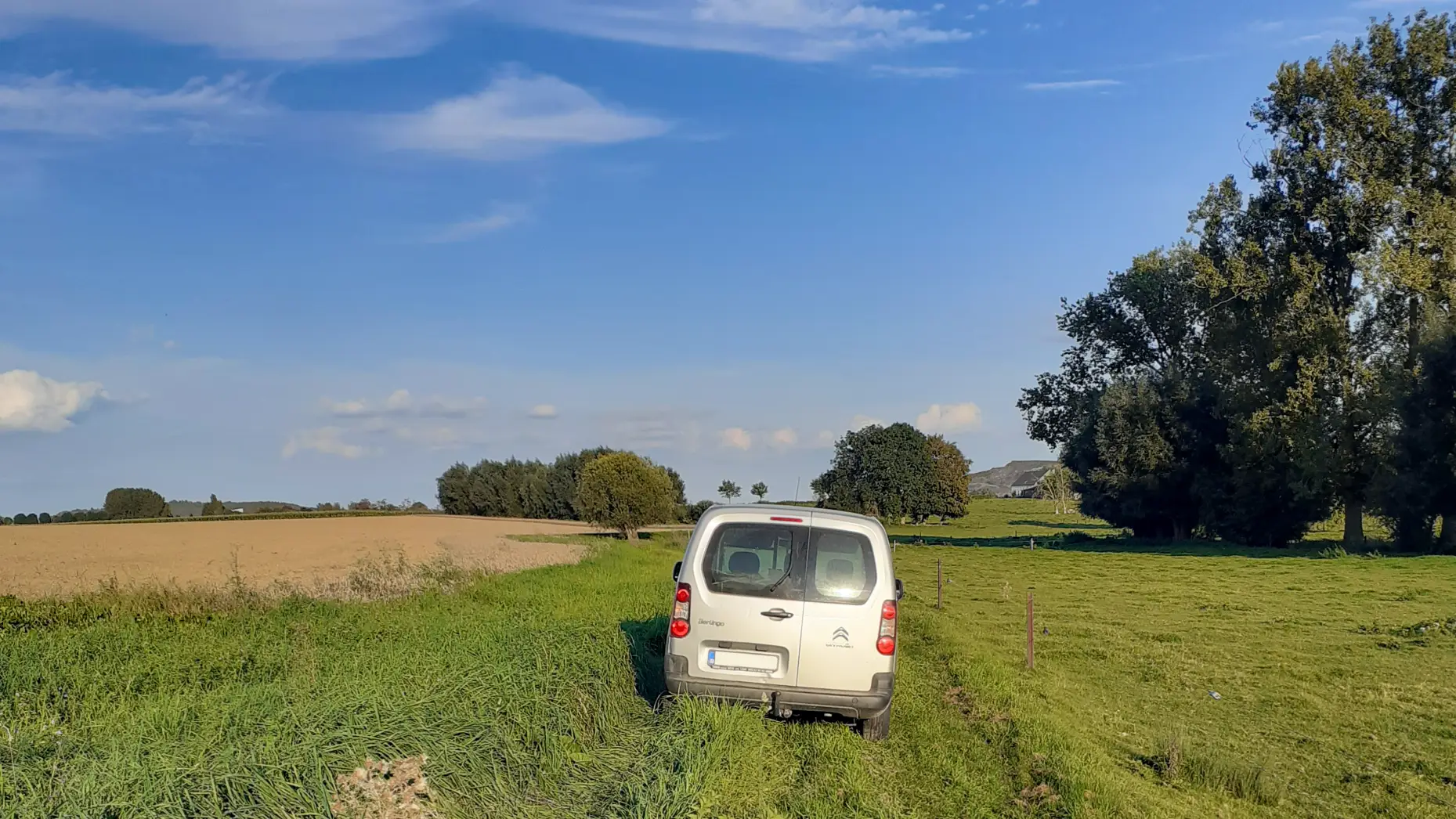 Le pré aux vaches #5