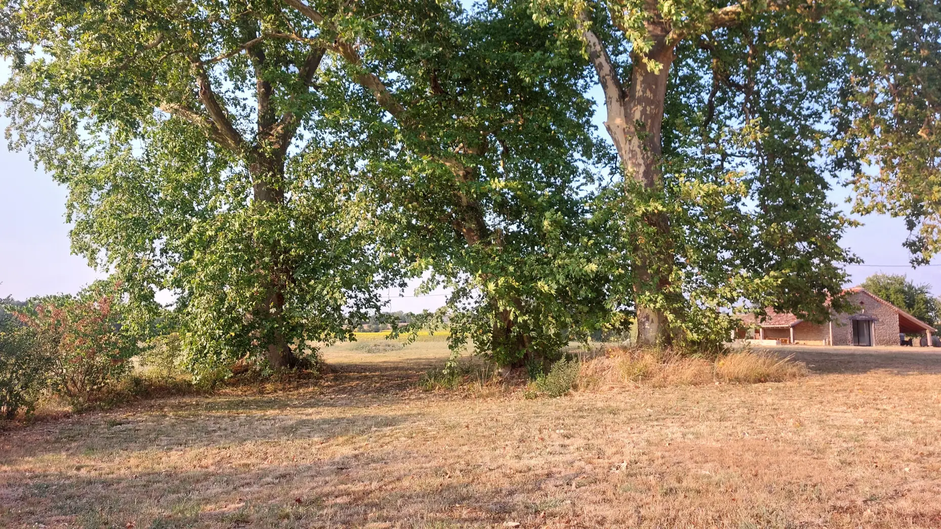 Domaine de La Gayé 2