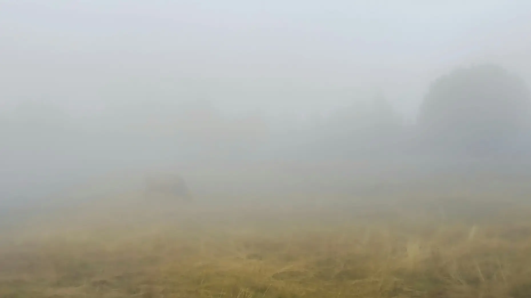 La prairie de Peïra Cava #6