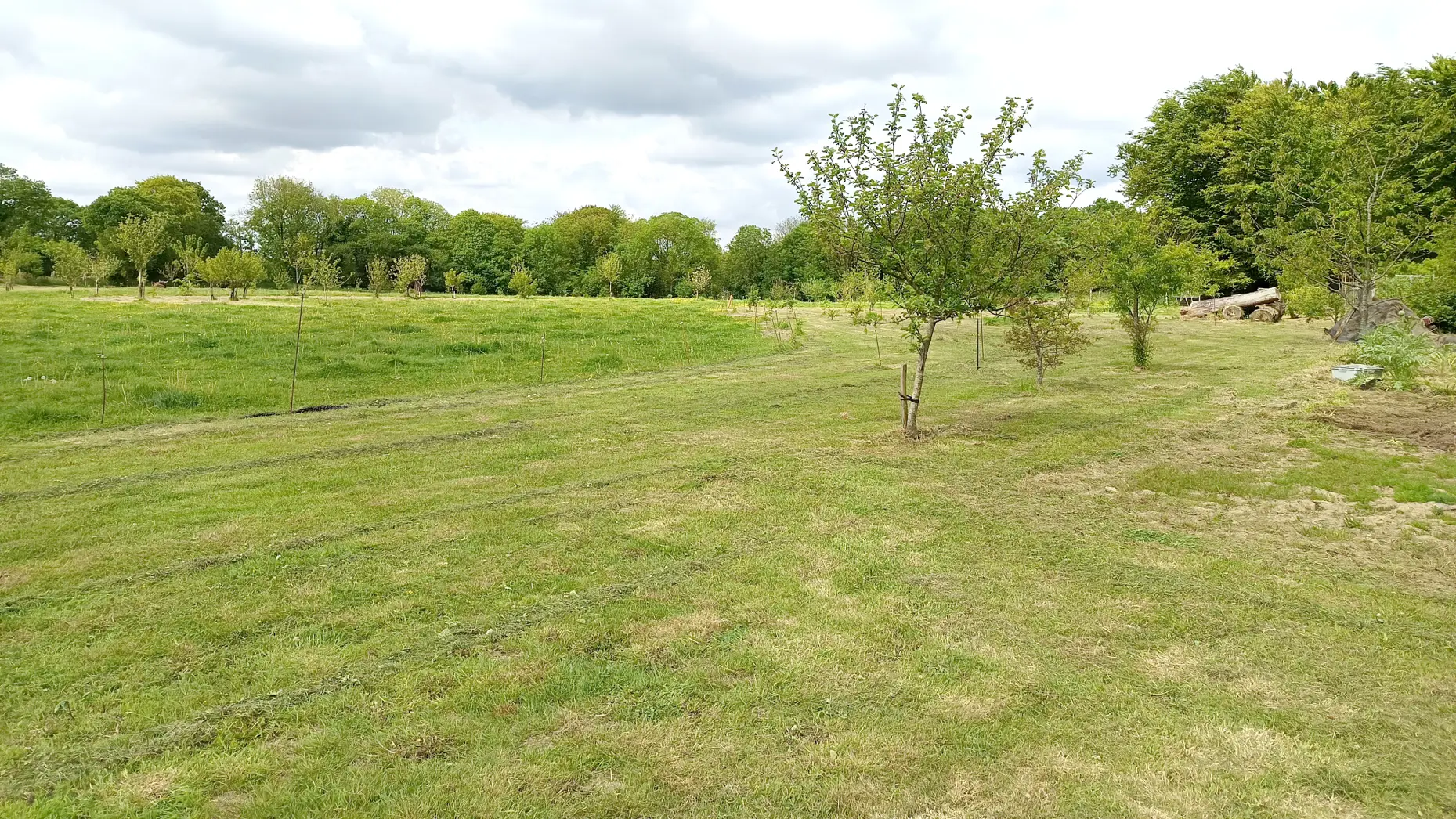 Le verger des tentes #4