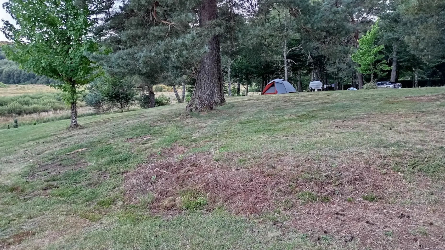 Camping au cœur du Parc #12