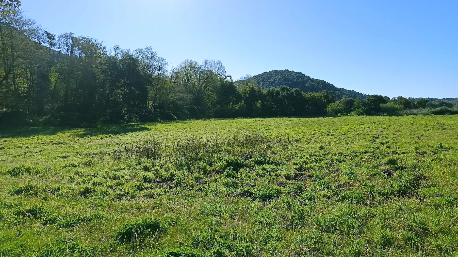 Les hauts d'Agay