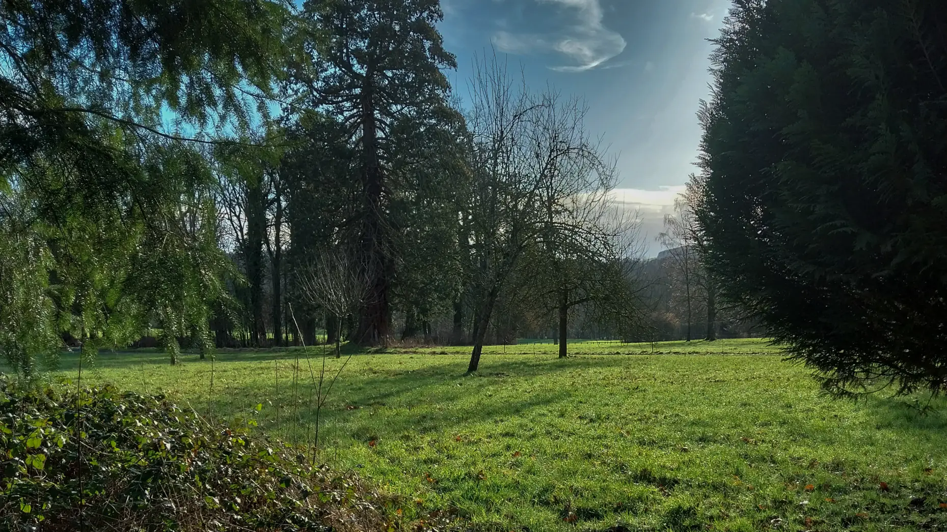 Le domaine du château