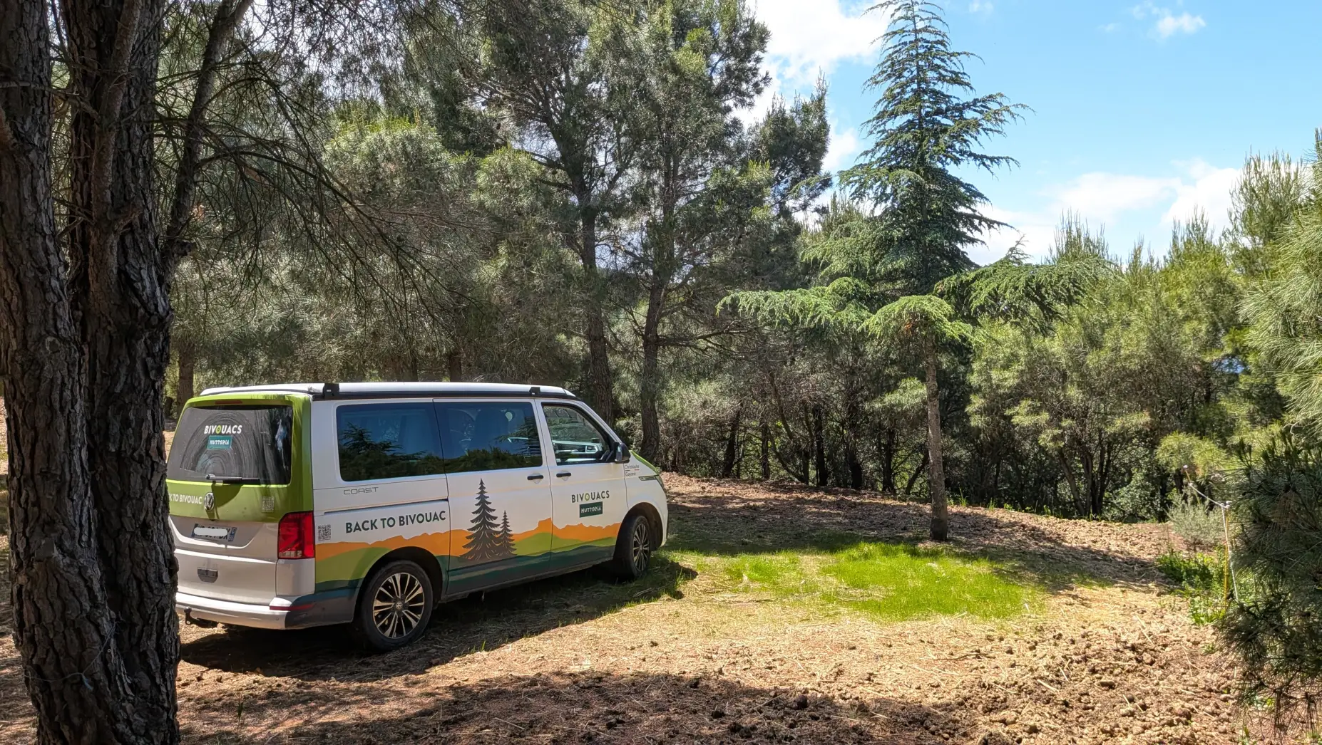 Sous les Pins d’Argelès #5