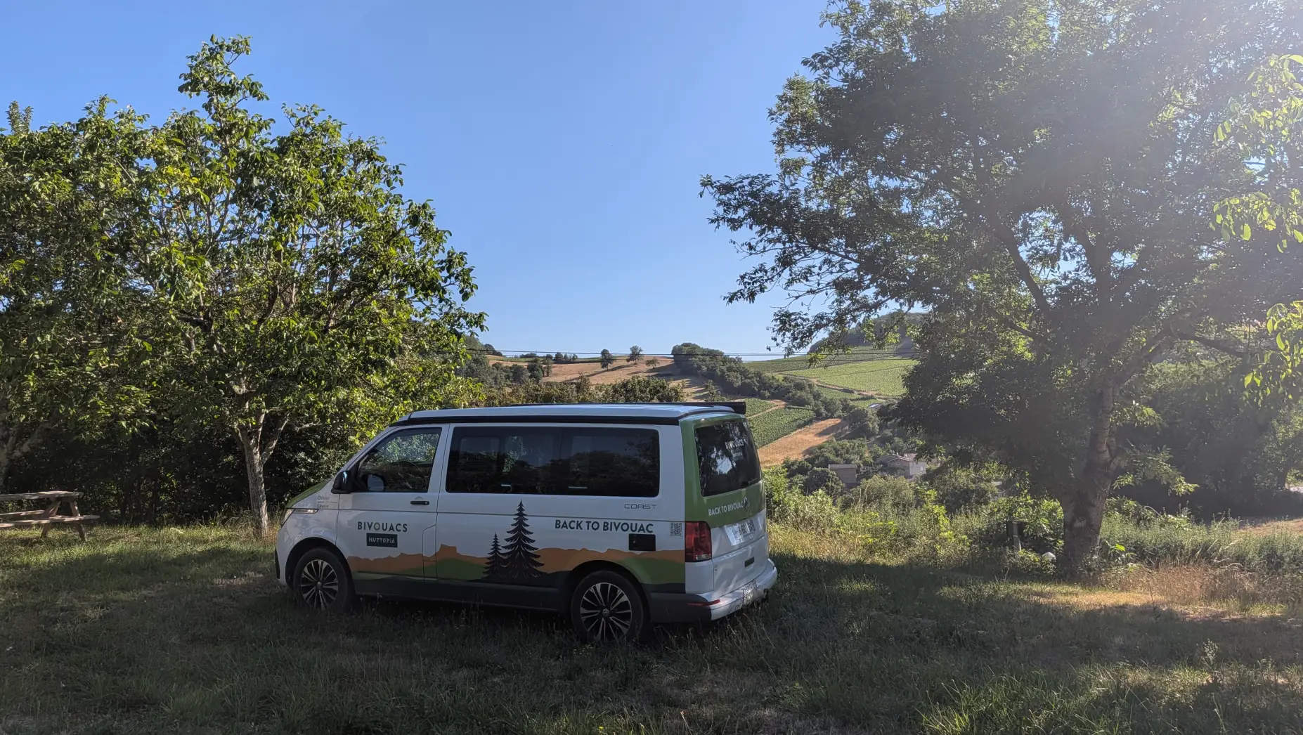 Un clou dans la vigne
