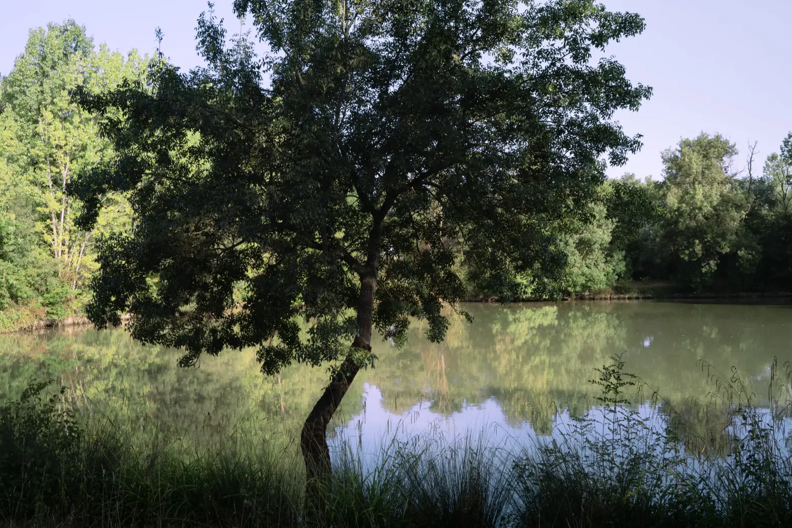 Le havre du lac #6
