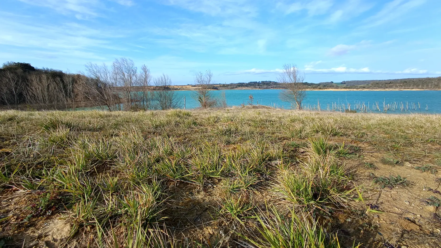 Les rives de la Guanguise #4