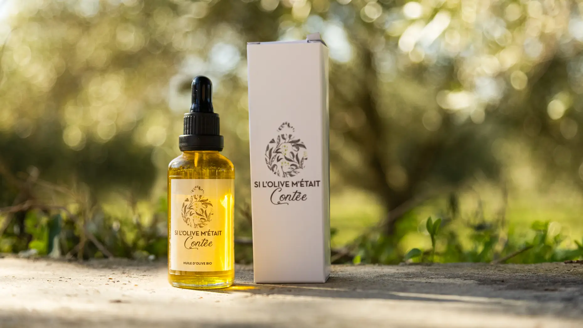 La pause des oliviers 1 #8