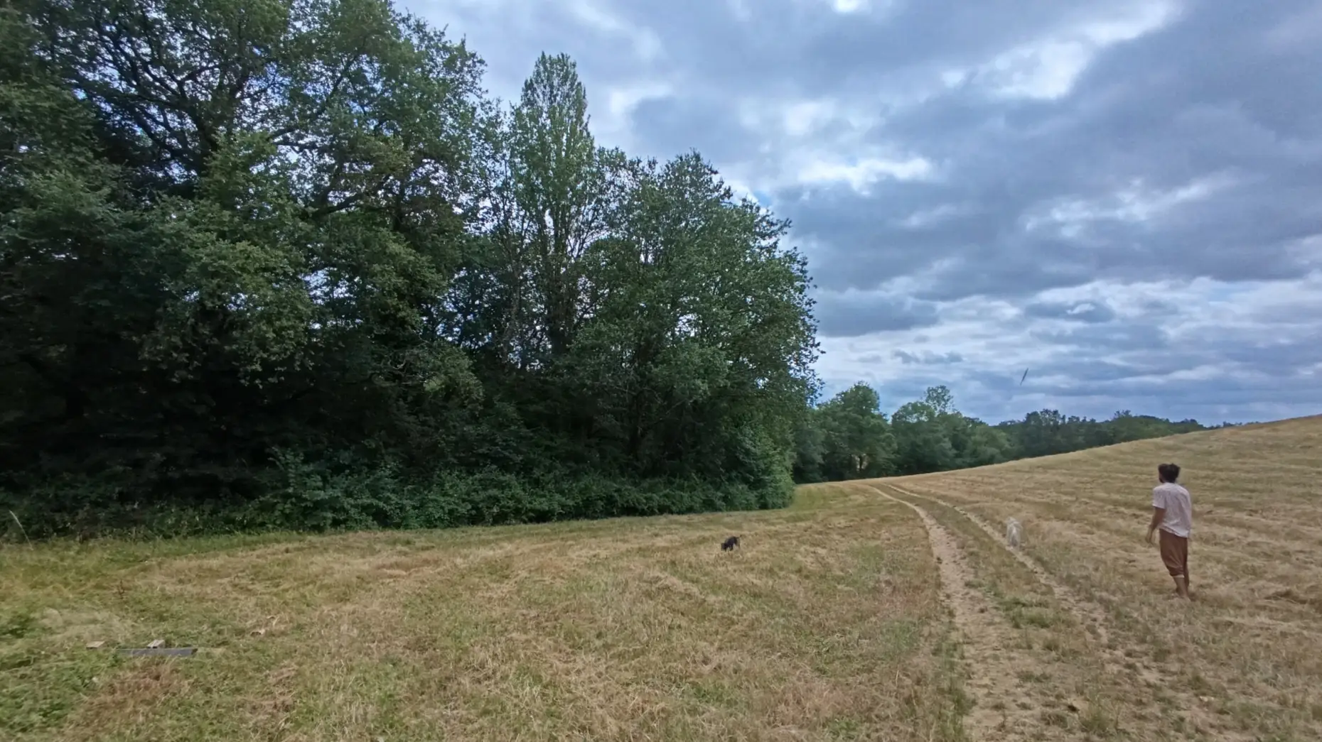 Le potager du Gers