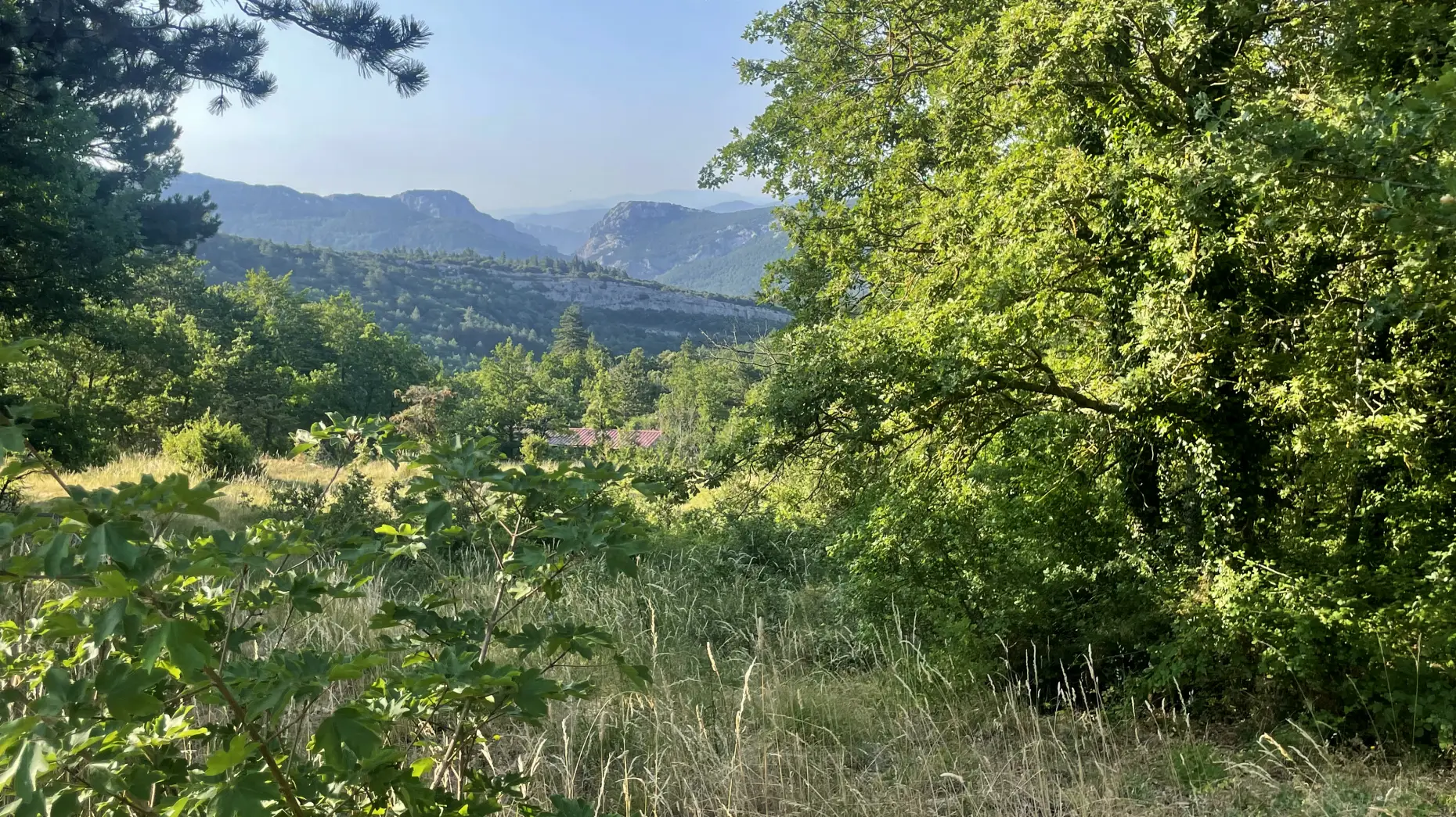 L'îlot de chez Anna
