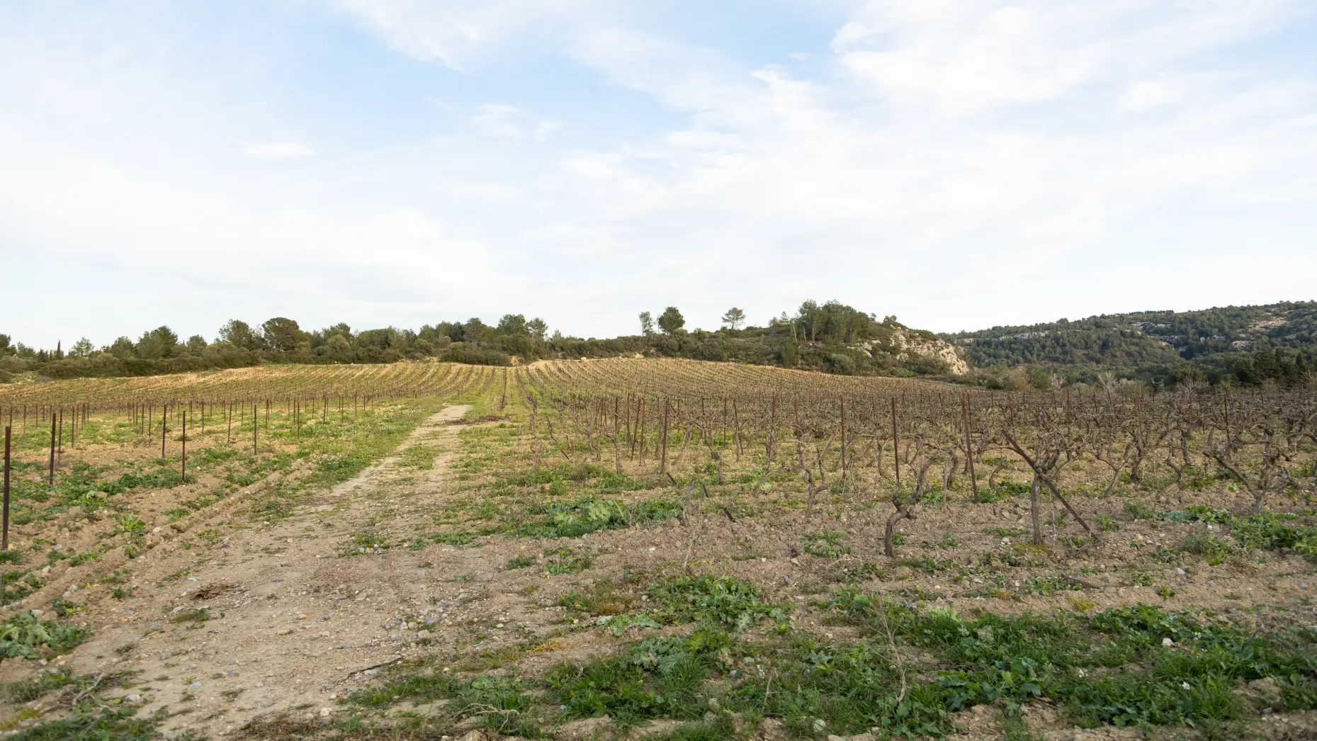 Le métal au vent #6