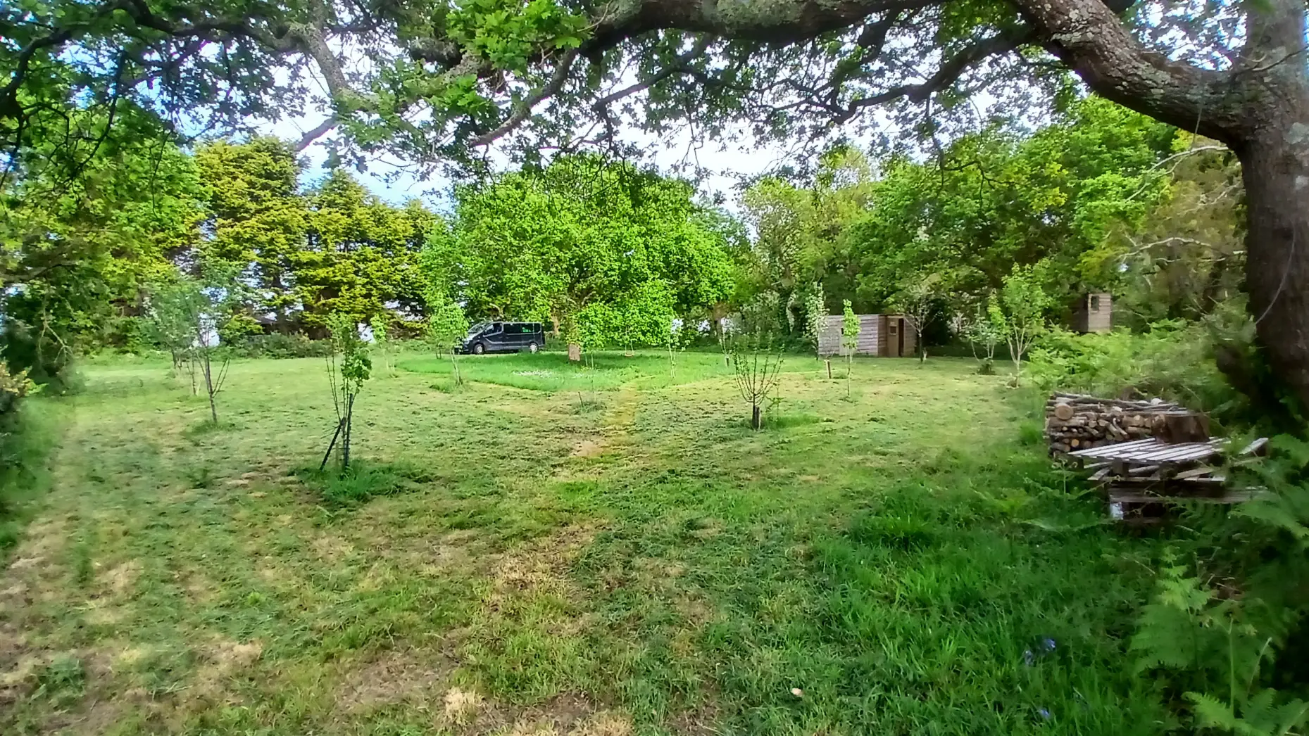 Le Verger du Cap Sizun #5
