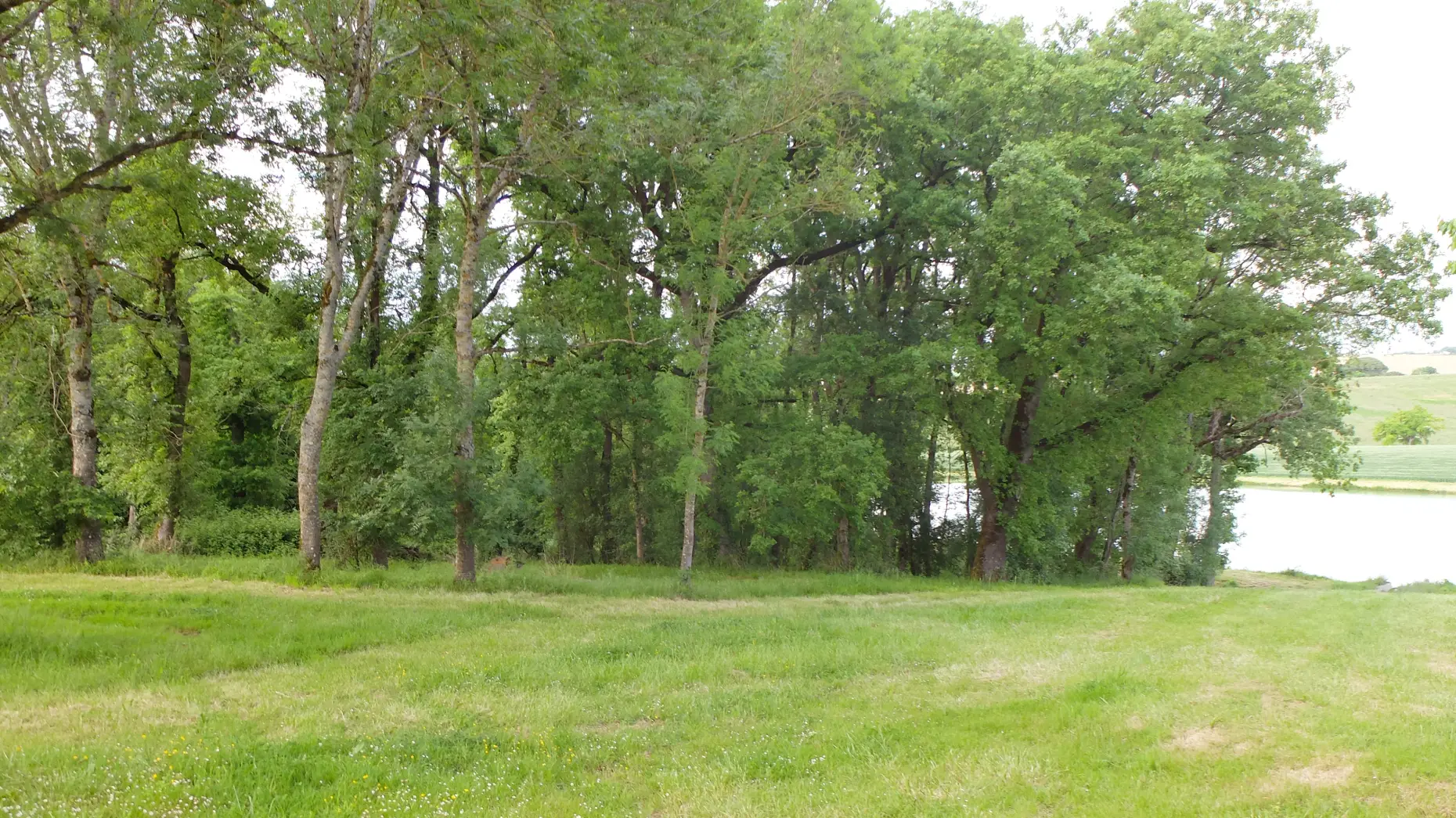 La Parot 3