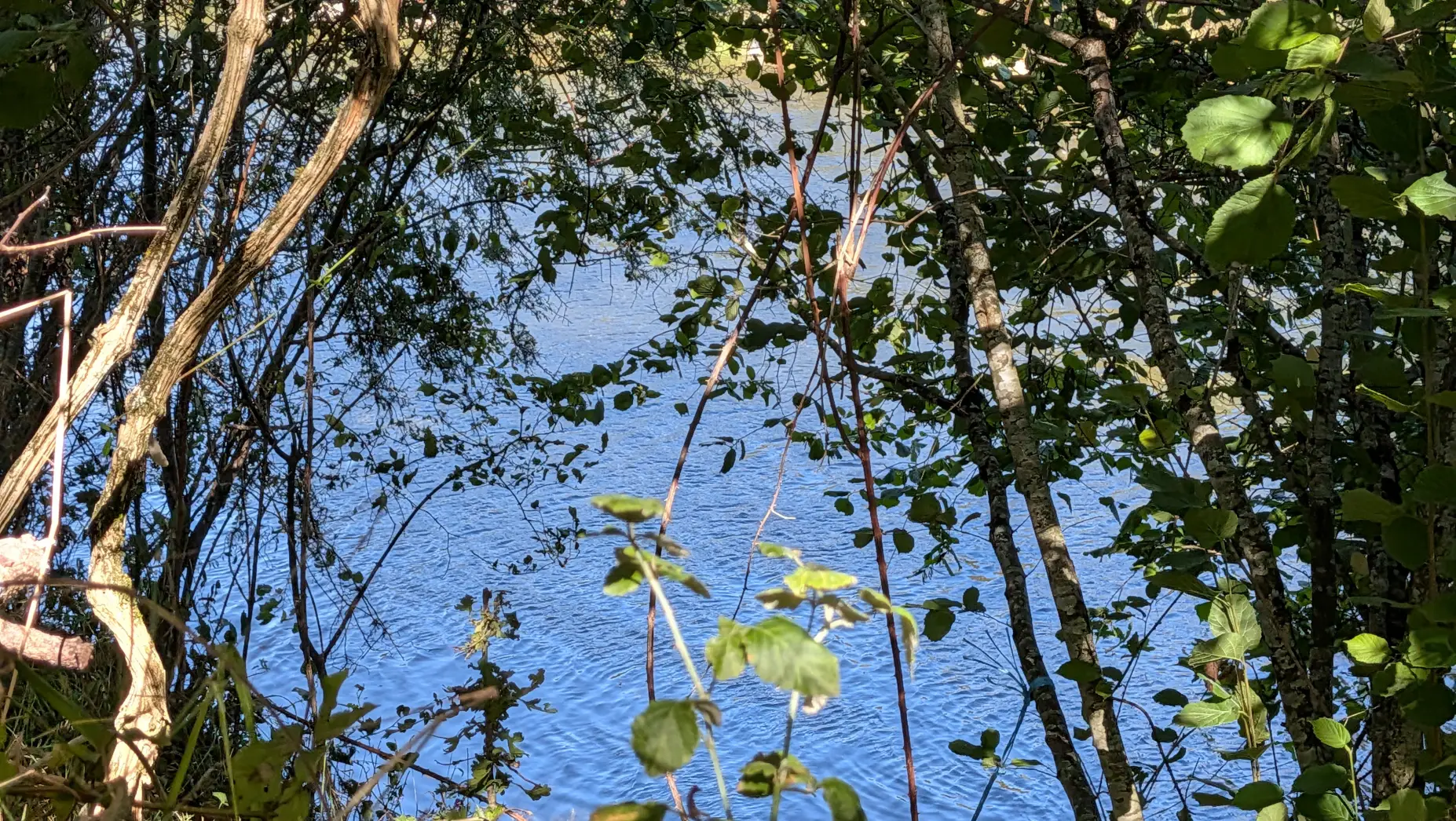 Au bord de la creuse #5