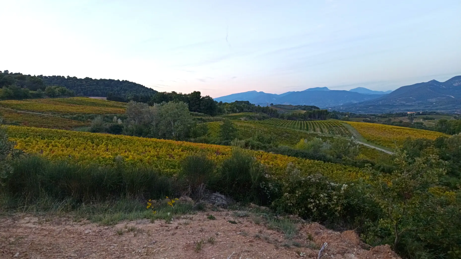 Face au Ventoux #6