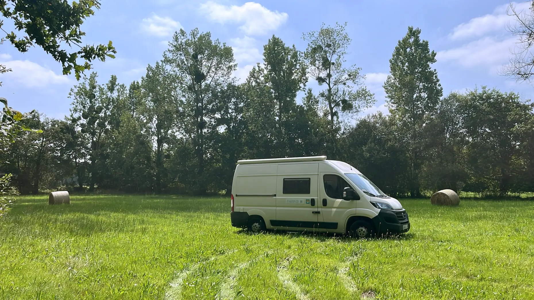 Clairière de la Forêt Enchantée