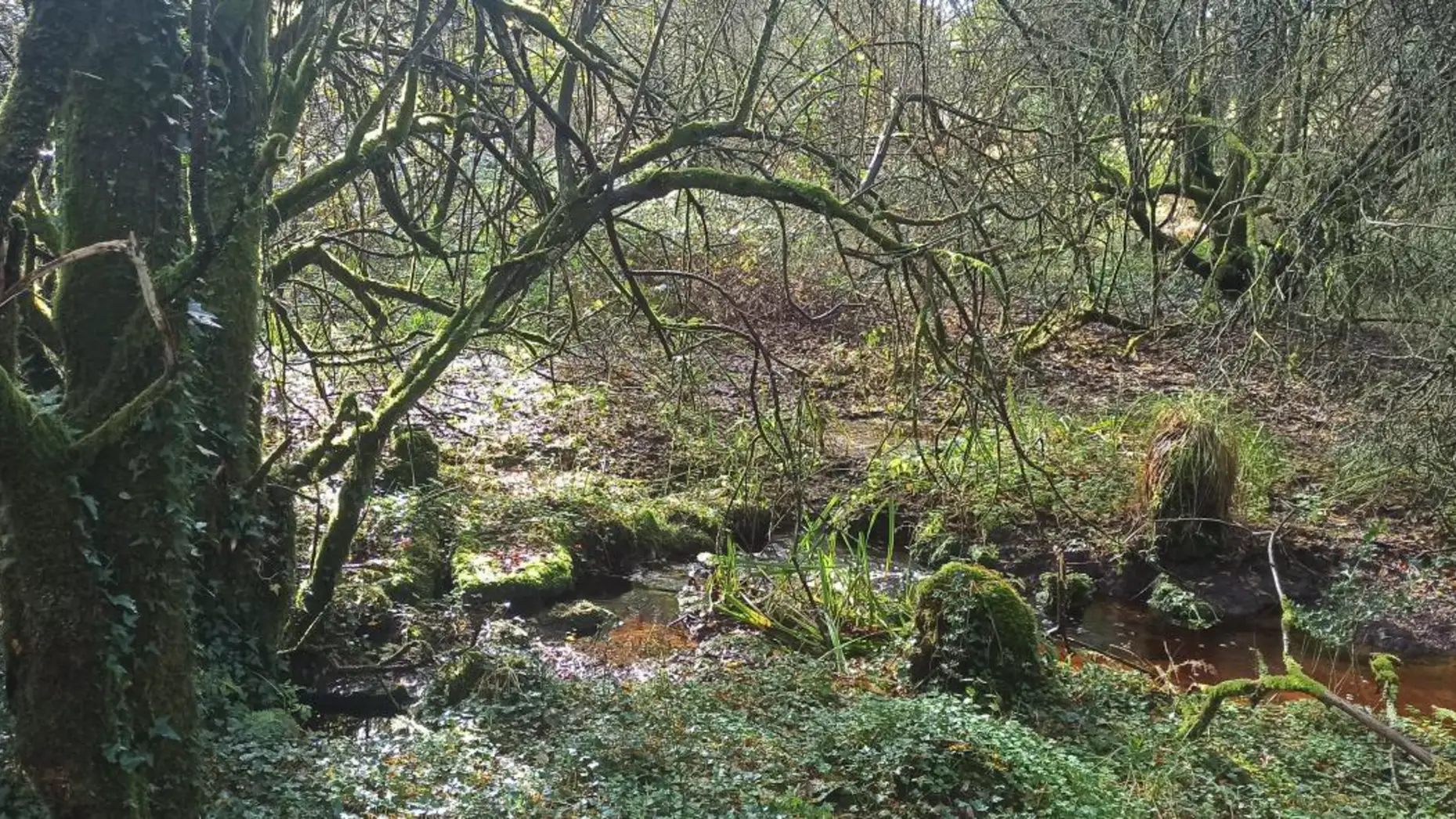 Imladris - Les vieilles pierres
