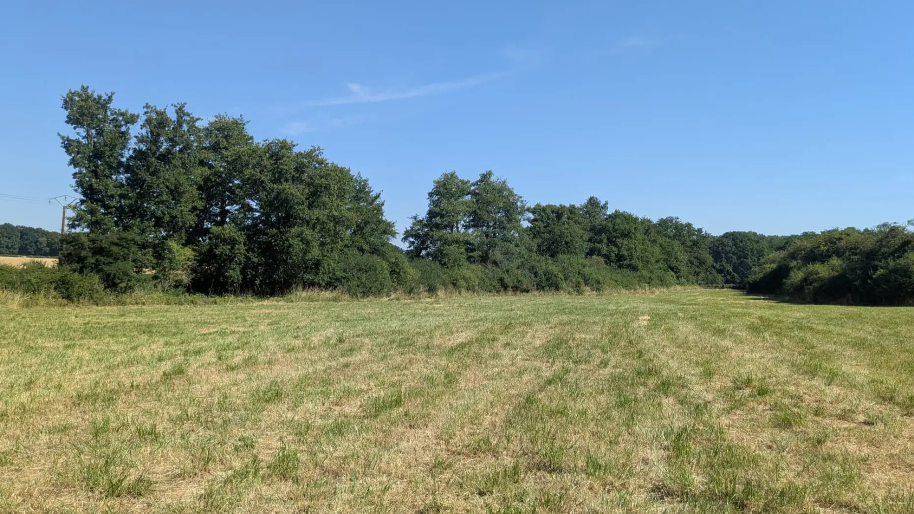 Le pré du domaine #4