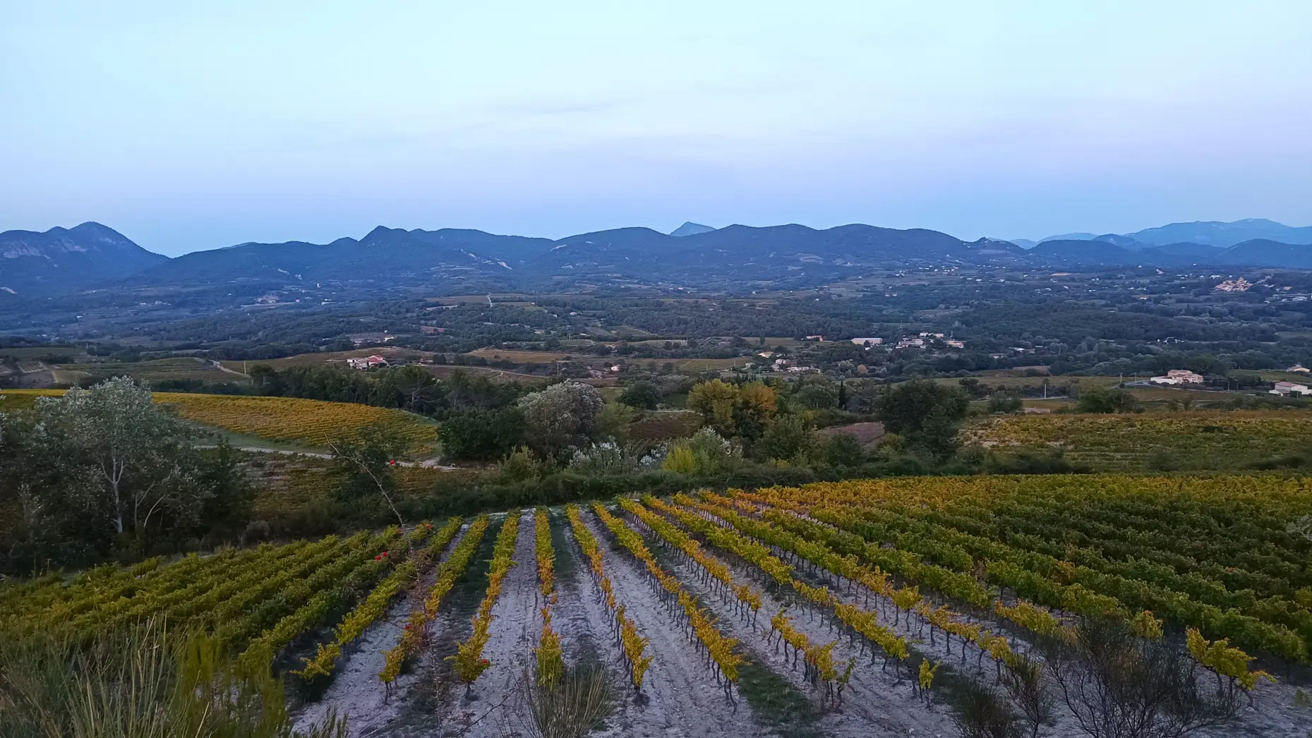 Face au Ventoux