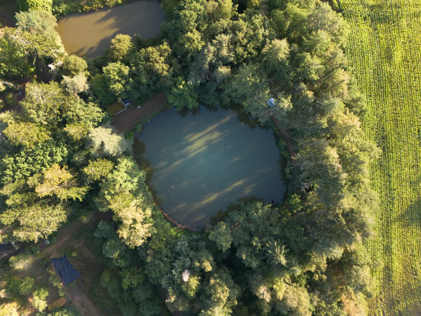 L'étang de Brocéliande