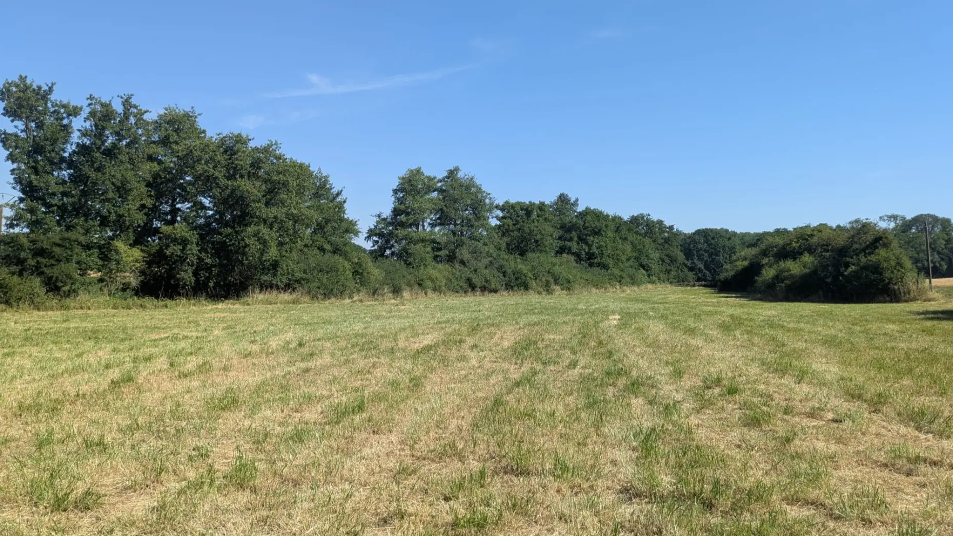Le pré du domaine