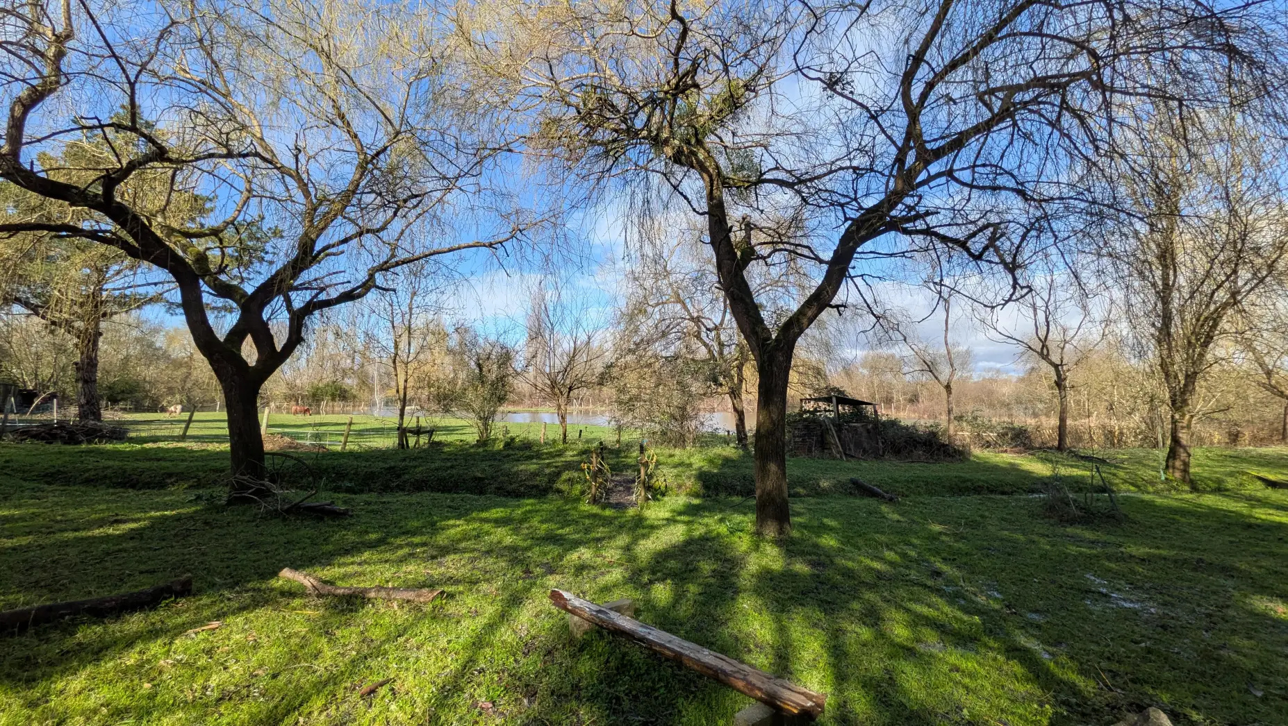 A l'orée des marais