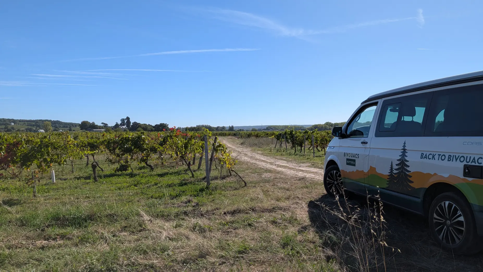 Au milieu des vignes #4