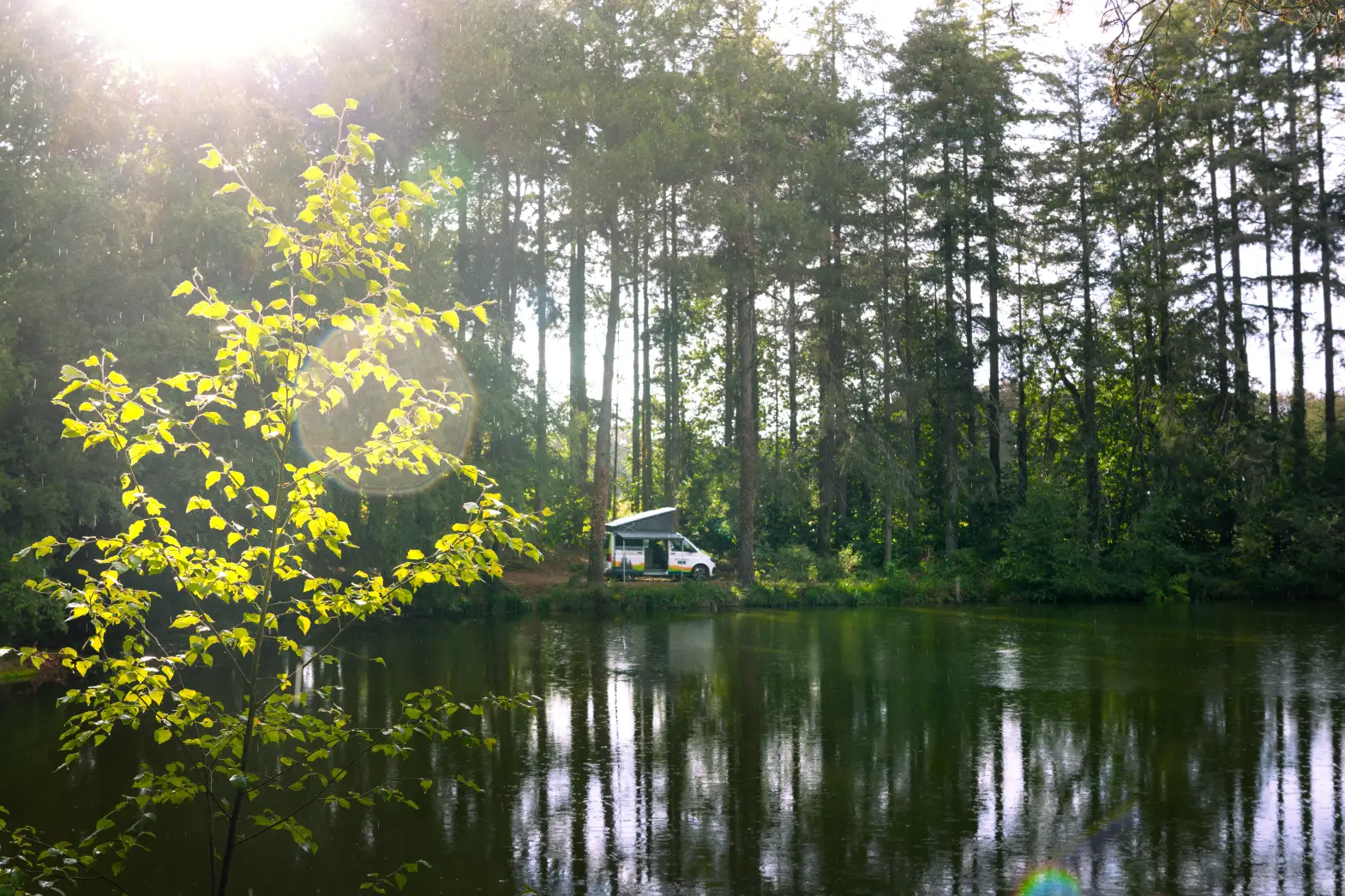 L'étang de Brocéliande #6