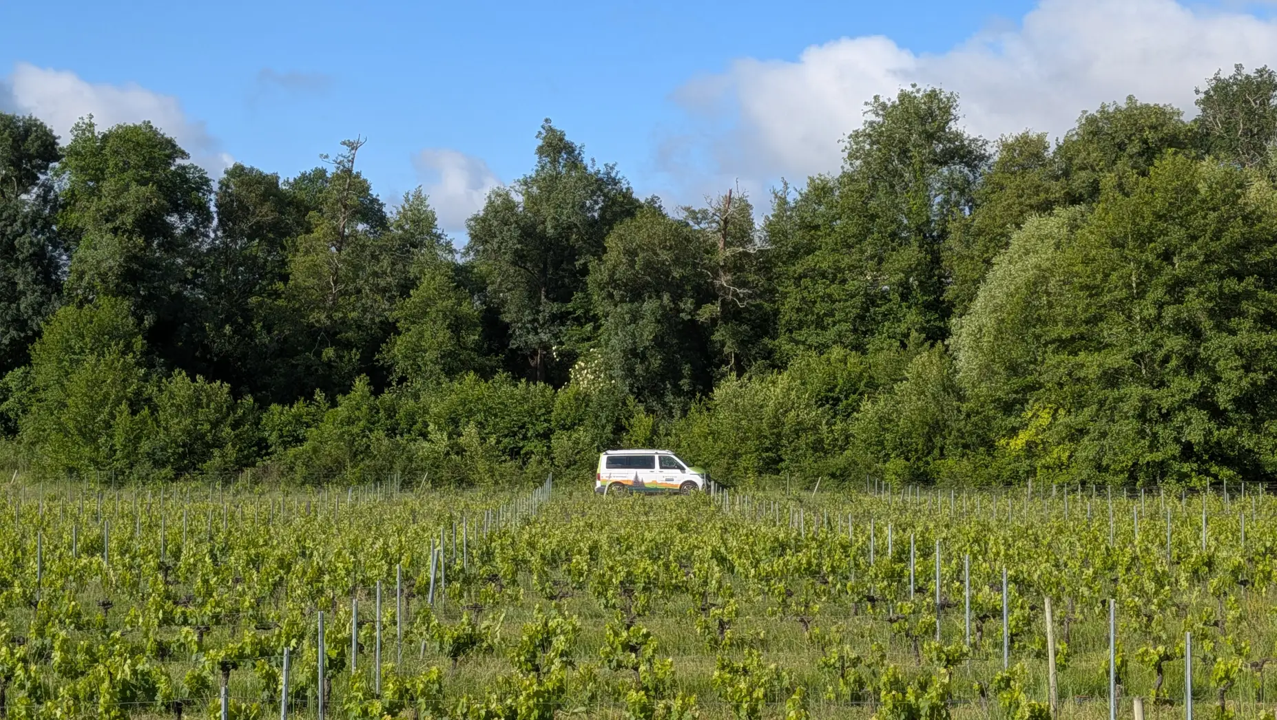 L'Escale vigneronne 2