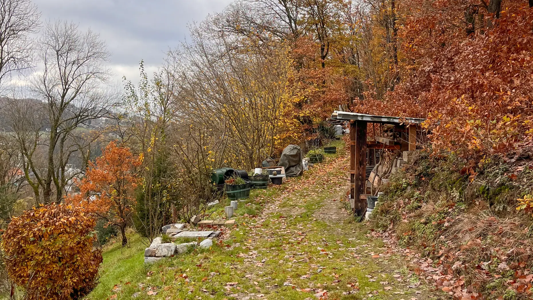 Les Coteaux de Goffontaine #10