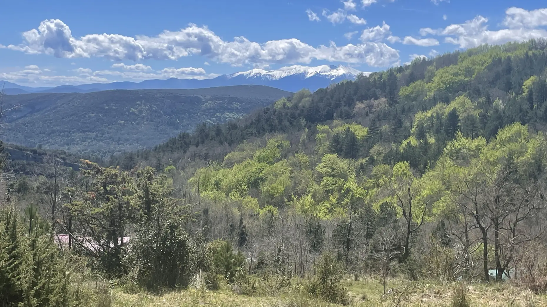 L'îlot de chez Anna