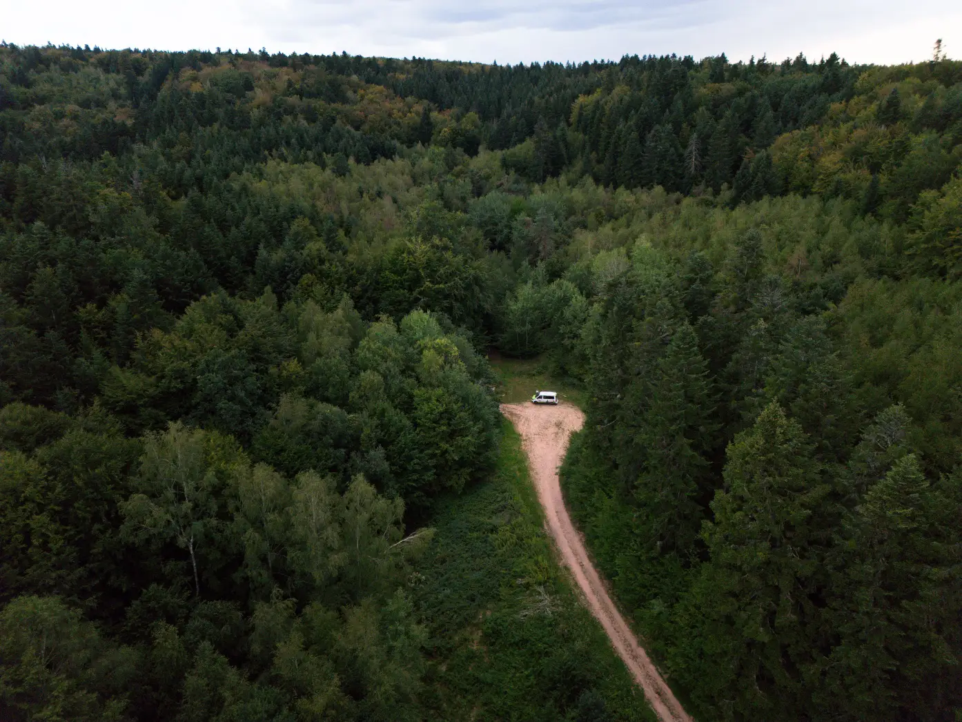 Le Refuge Forestier #5